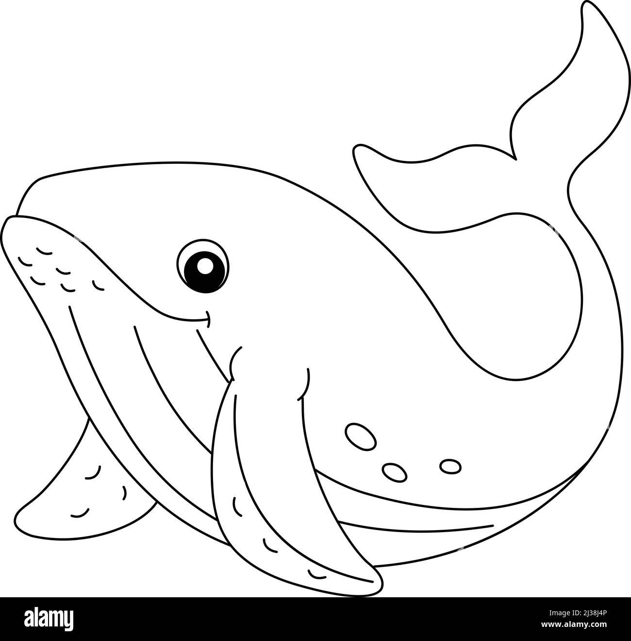 Humpback Whale Coloring Pages