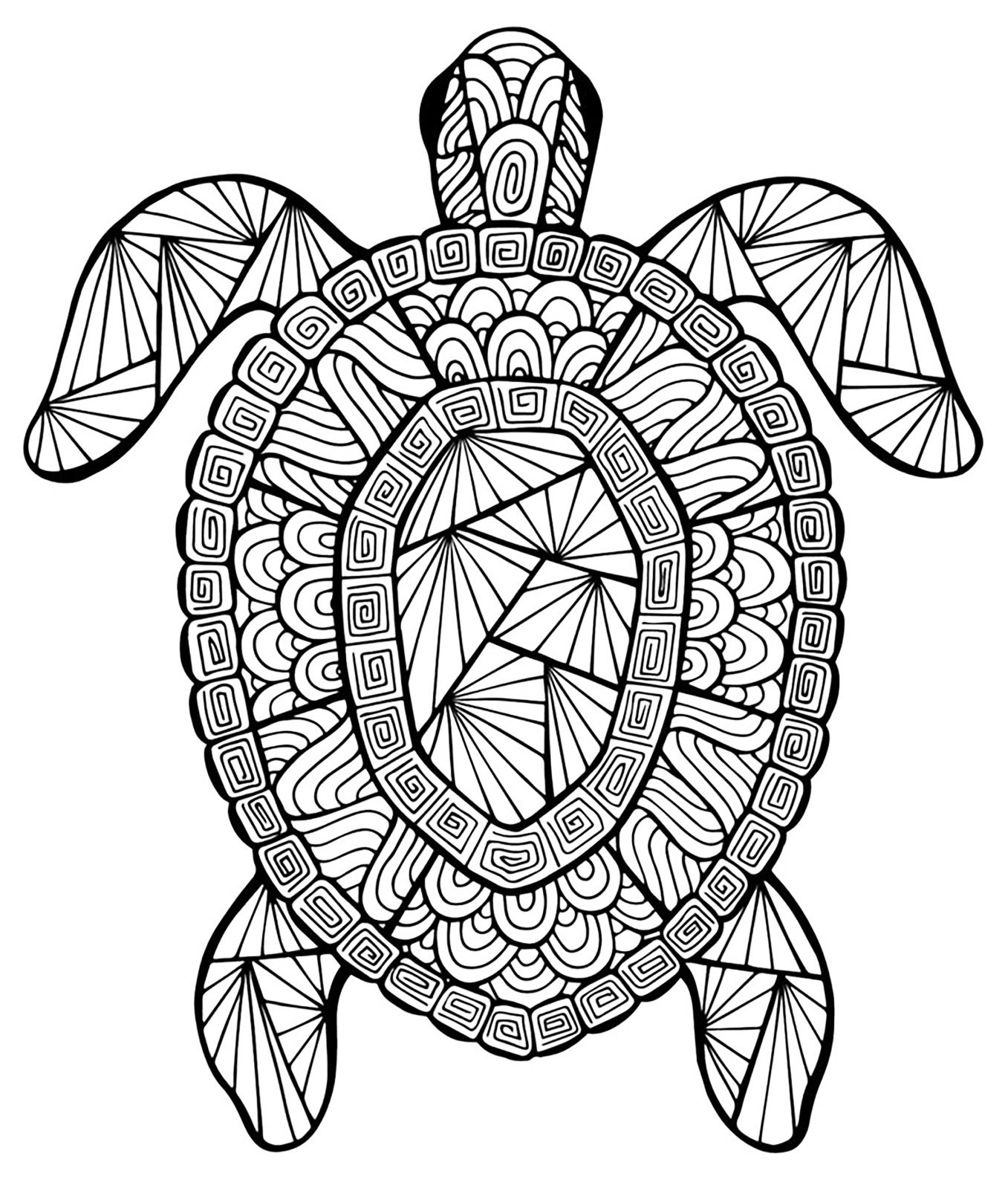 Coloring Pages Turtle
