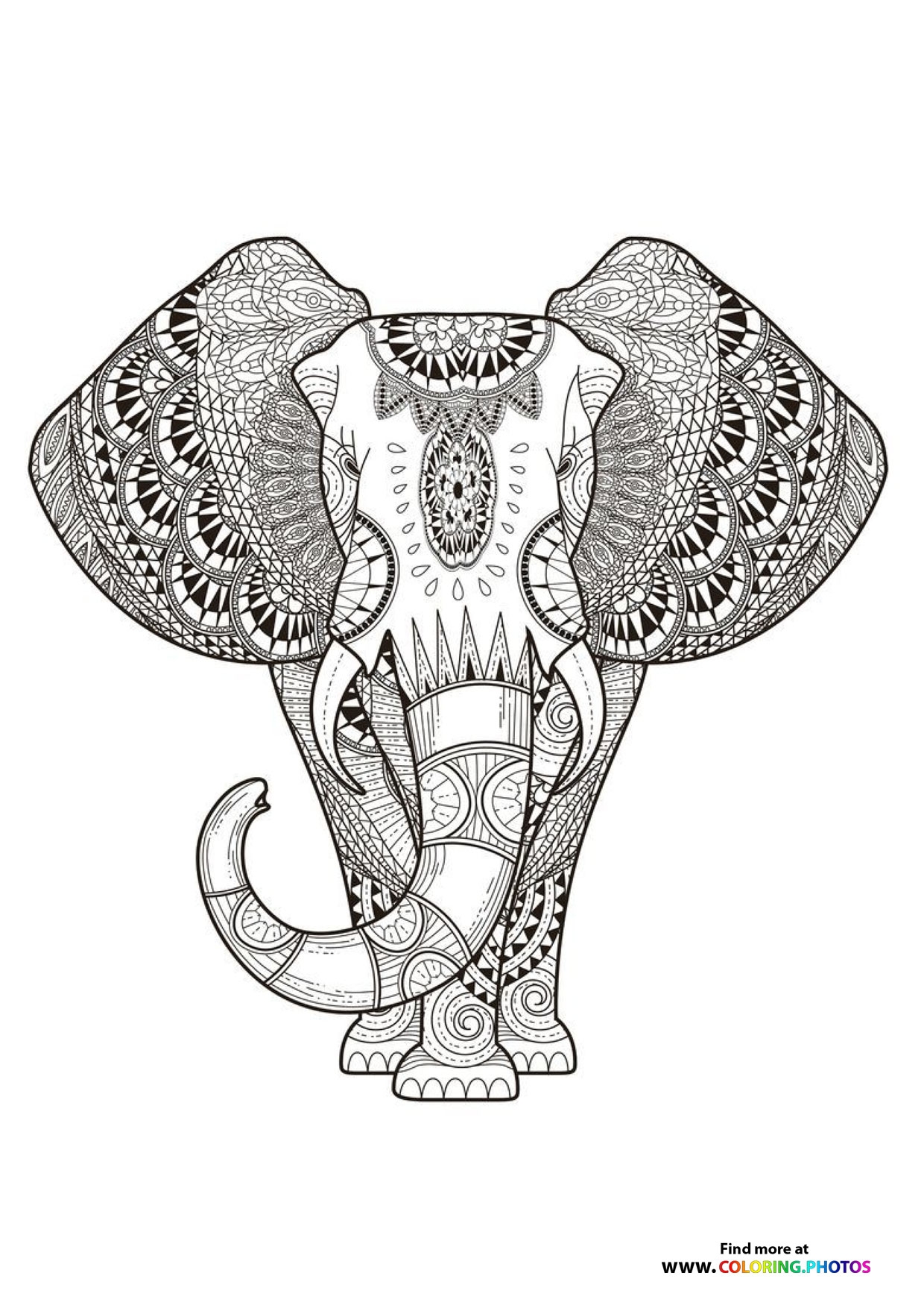 Indian Elephant Coloring Page For Adults Coloring Pages For Kids