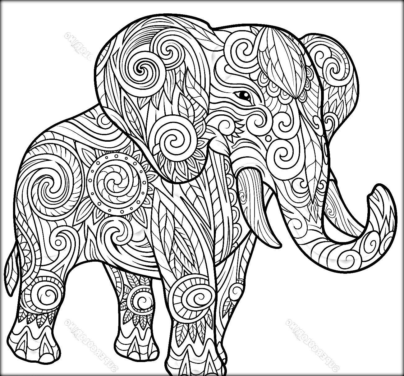 Indian Elephant Coloring Pages At GetColorings Free Printable Colorings Pages To Print And