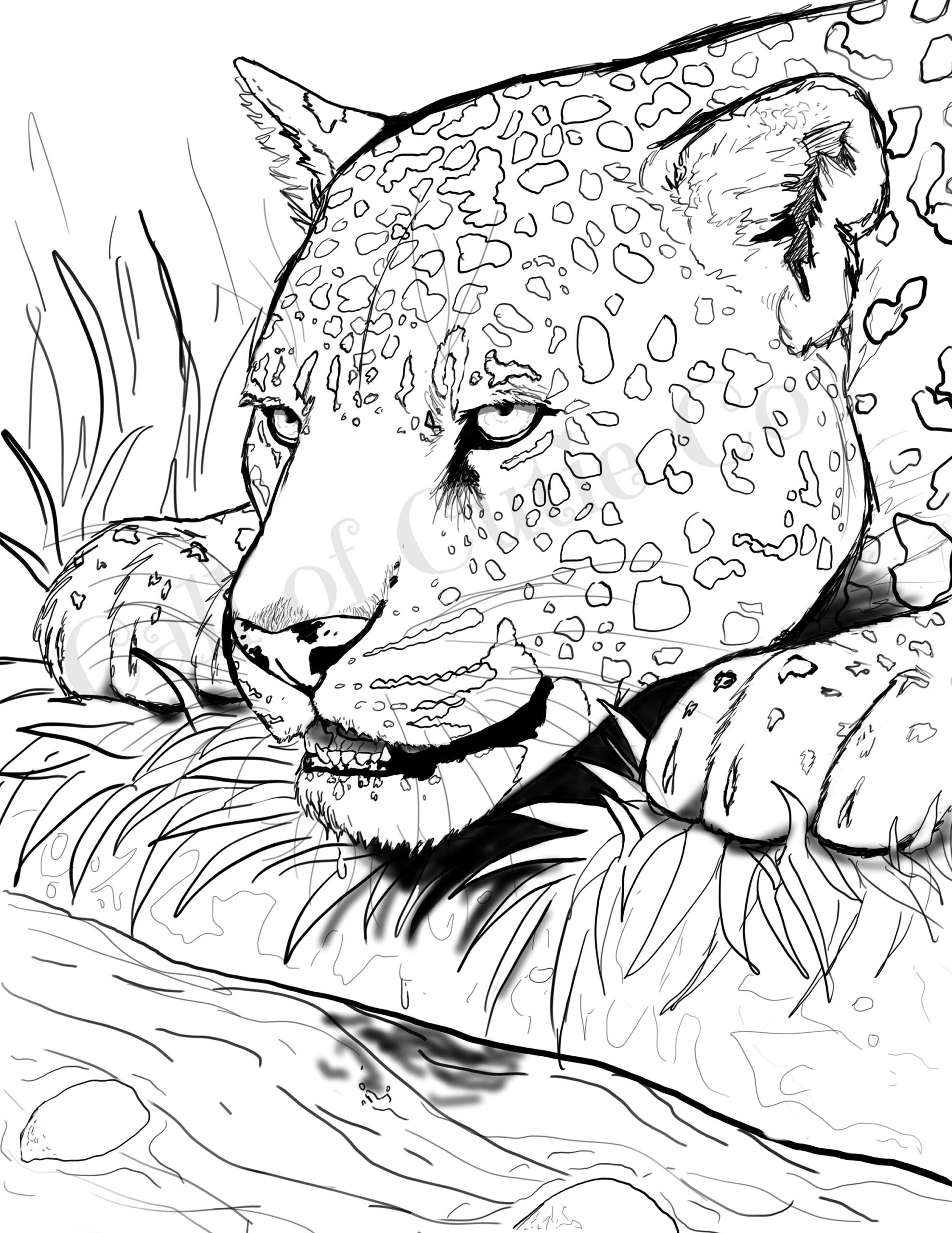 Jaguar Coloring Page Animal Coloring Page Etsy UK