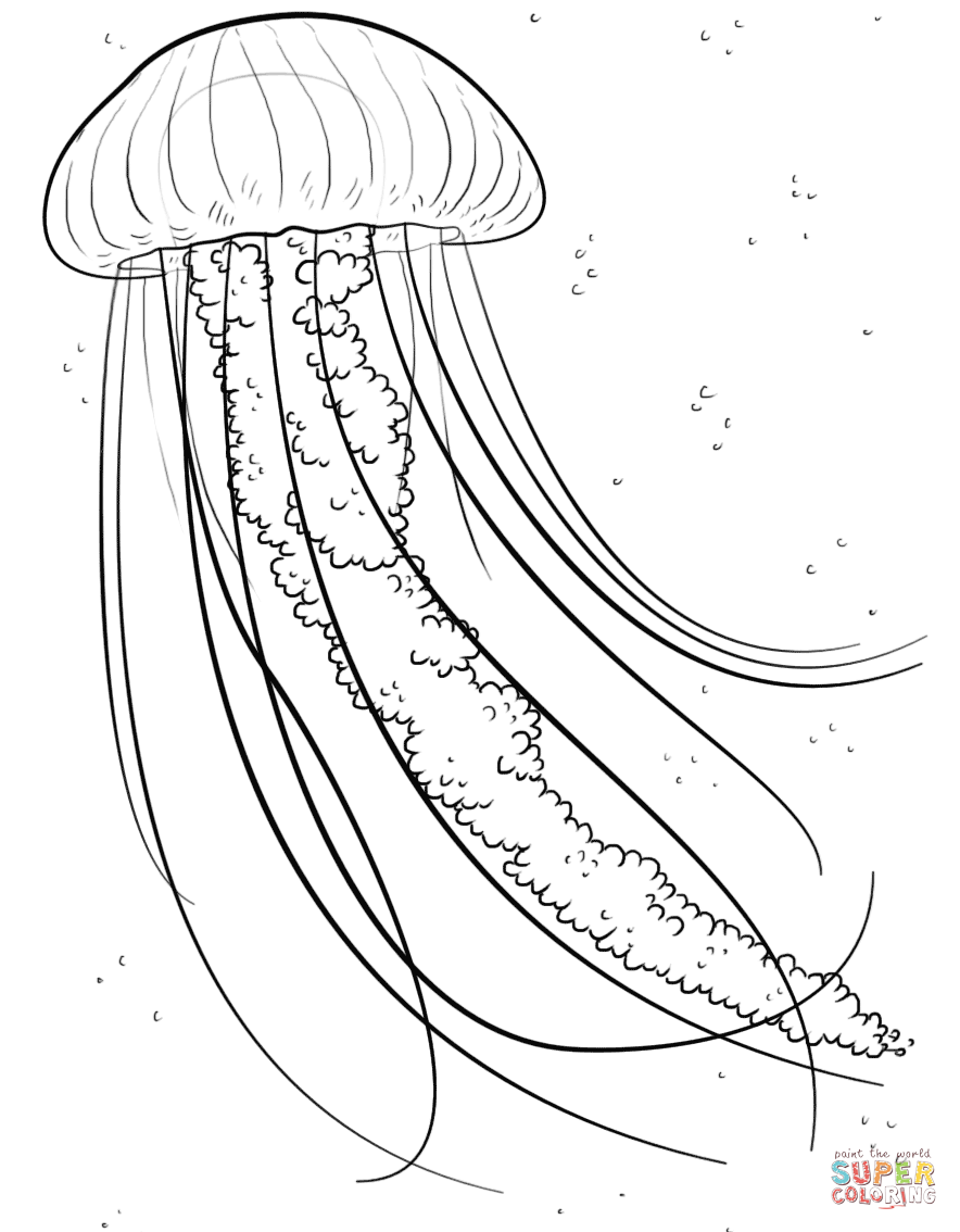 Jellyfish Coloring Page
