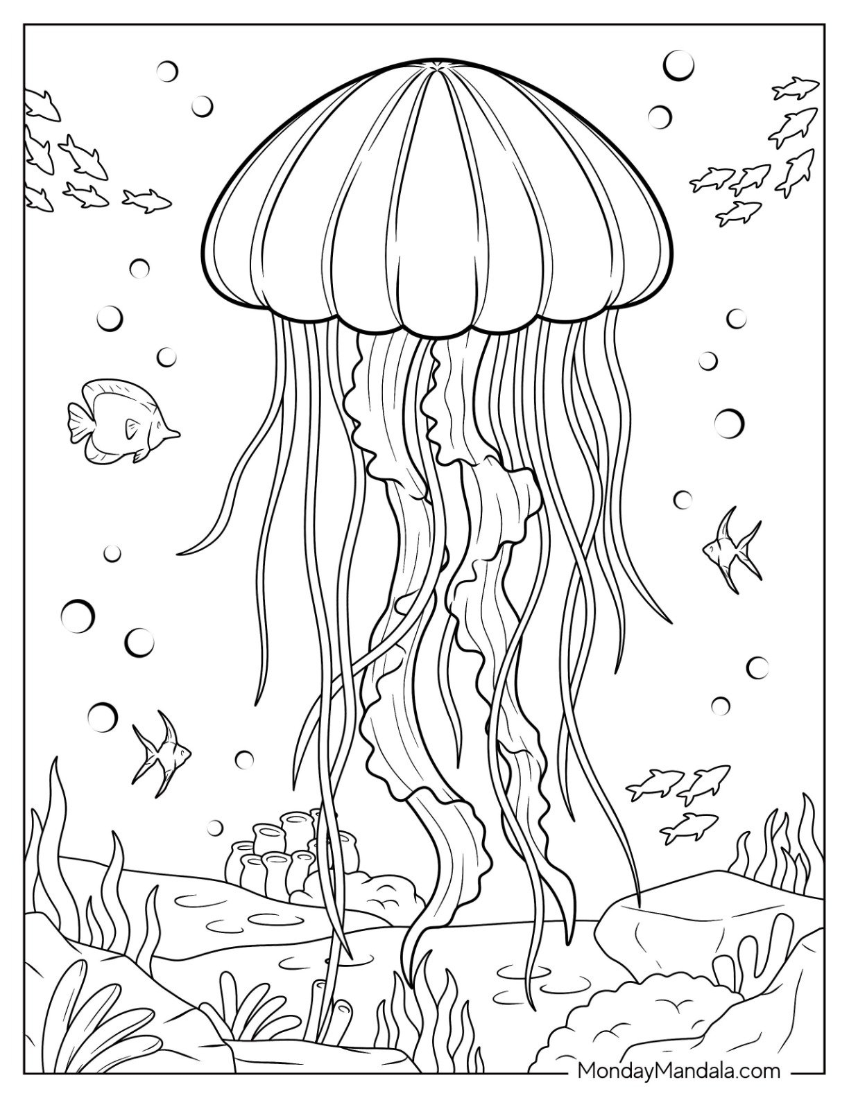 Jellyfish Coloring Pages Free Coloring Pages Printables