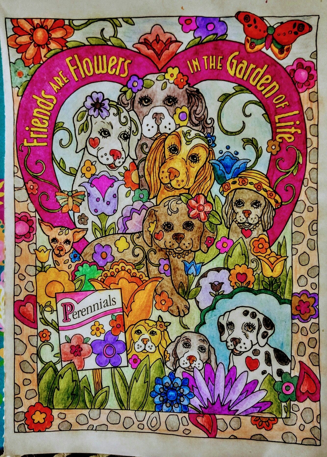 Joan Bosotina Colorist Dazzling Dogs Marjorie Sarnet Dog Coloring Book Colorful Pictures