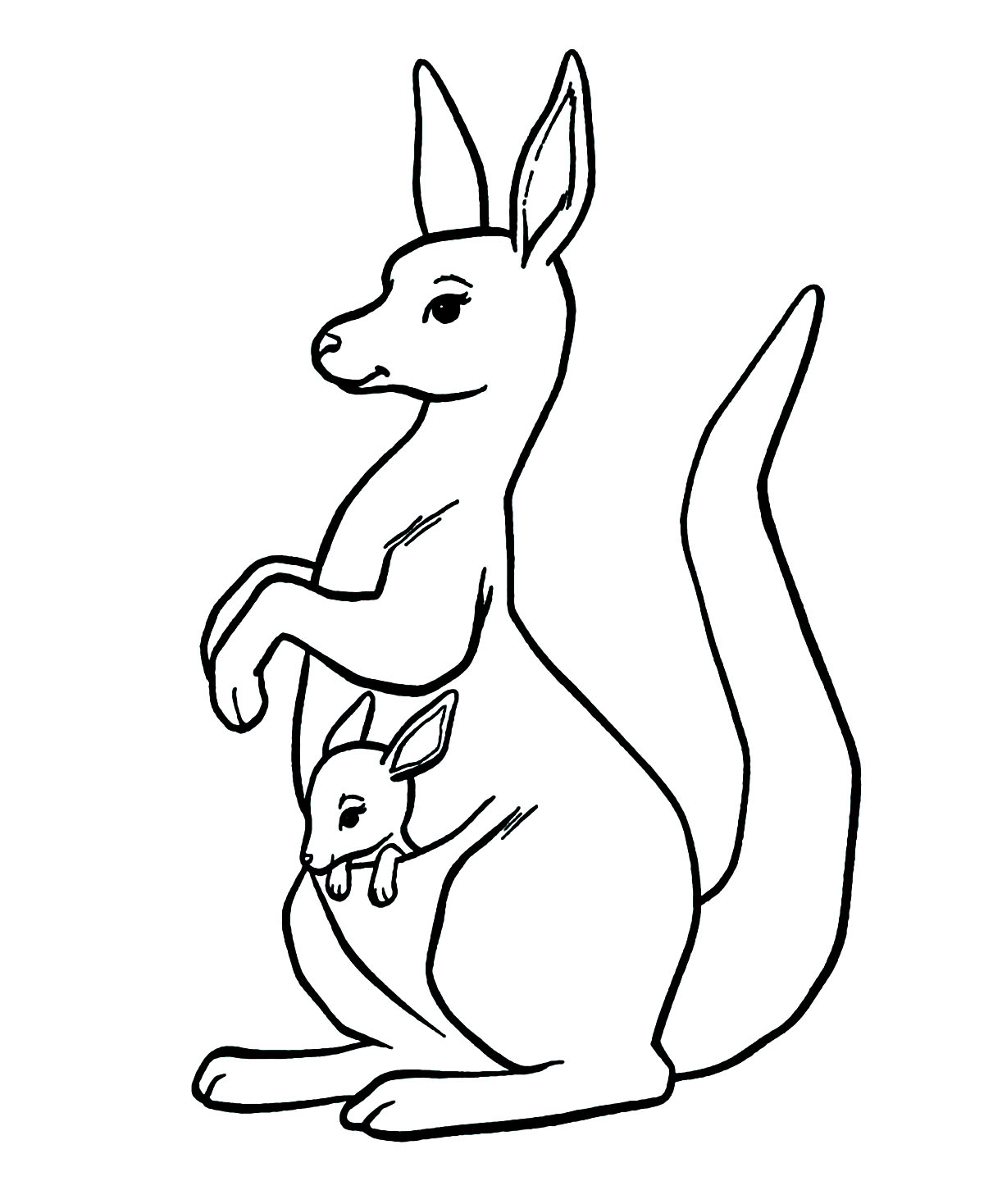 Kangaroo In The Pocket Kangaroo Coloring Pages For Kids