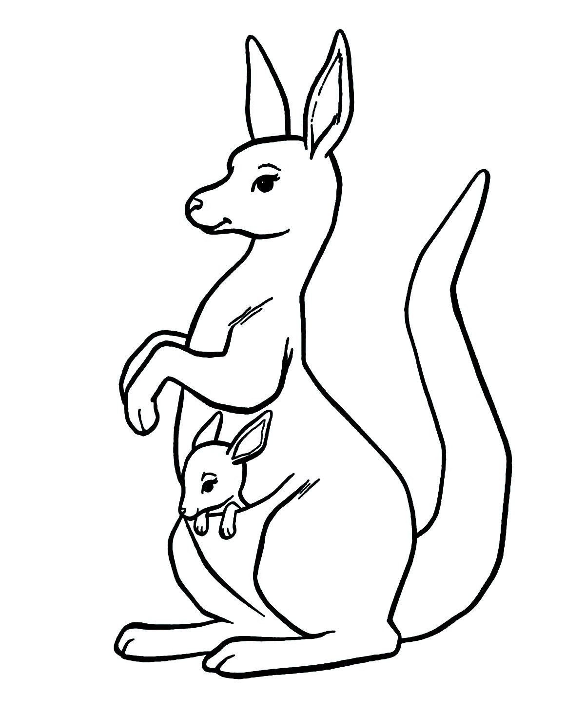 Kangaroo In The Pocket Kangaroo Coloring Pages For Kids