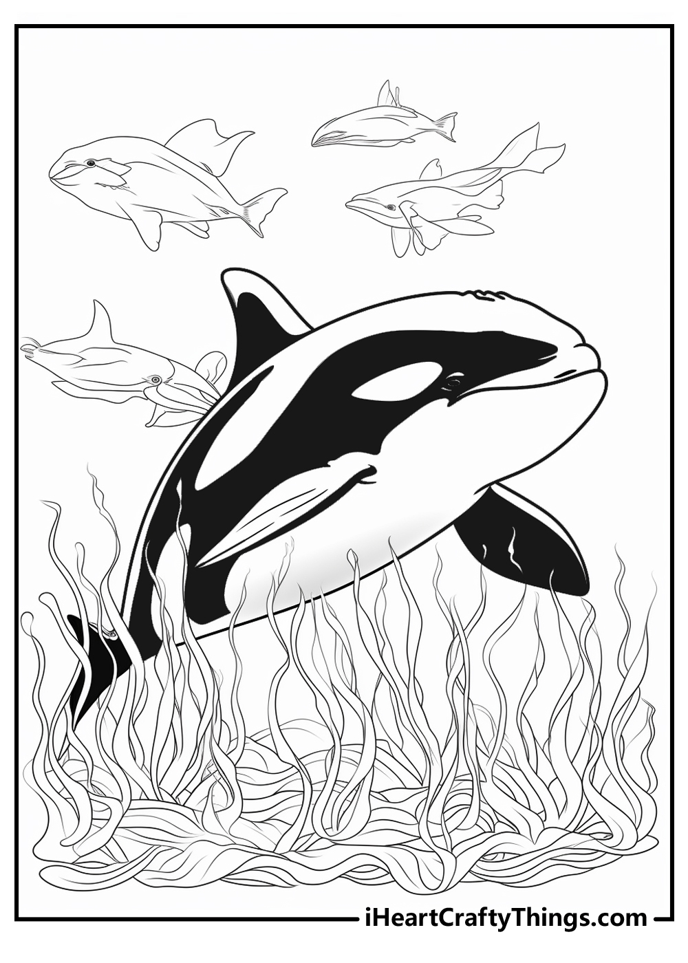 Killer Whale Coloring Sheet