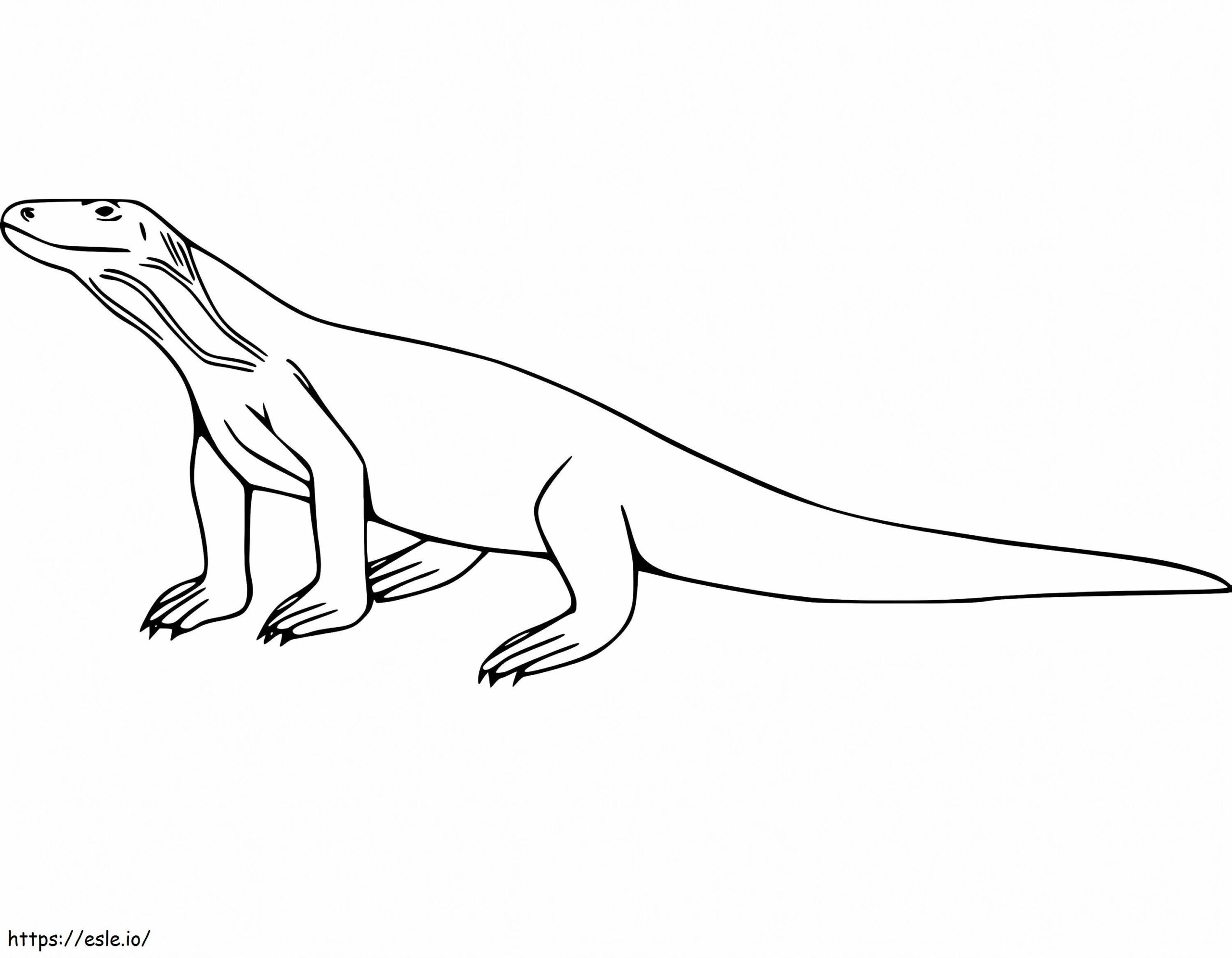 Komodo Dragon Coloring Page Komodo Dragon Coloring Pages Coloring Images And Photos Finder