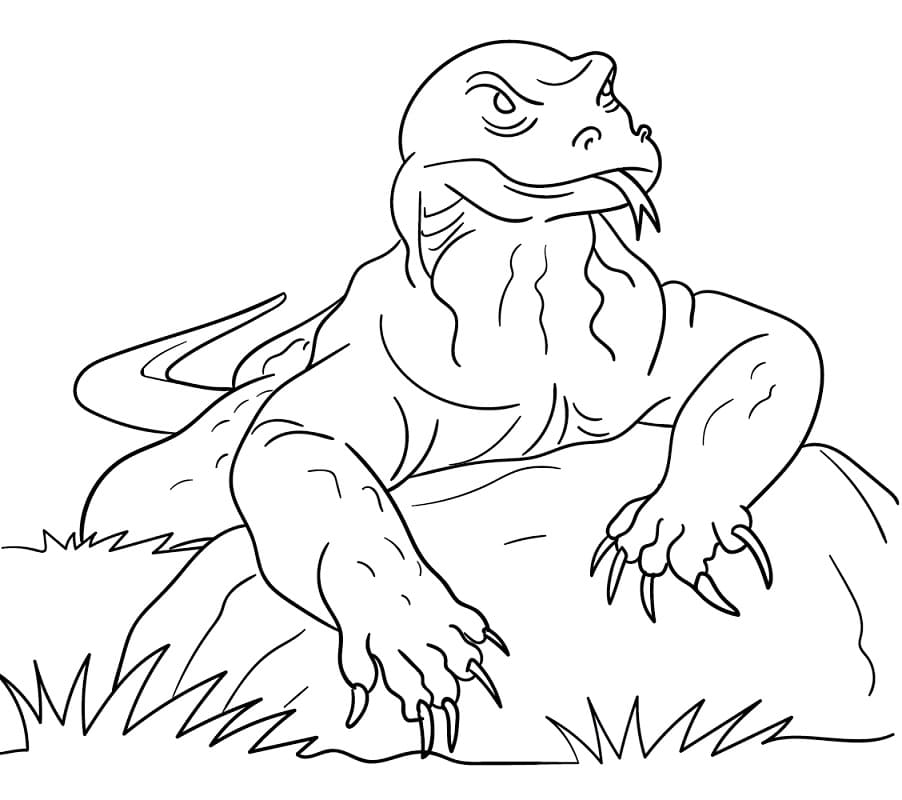 Komodo Dragon Coloring Pages