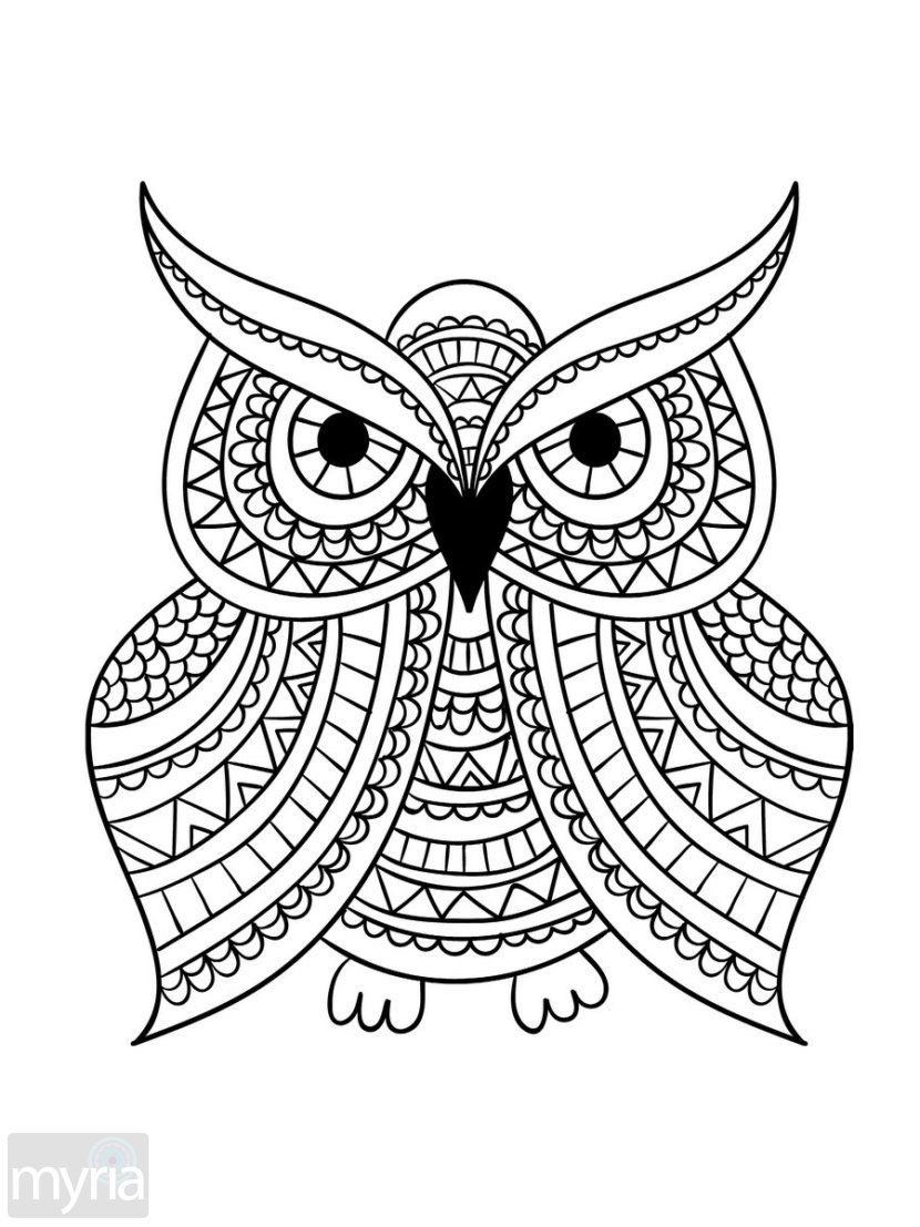 Large Free Printable Coloring Pages