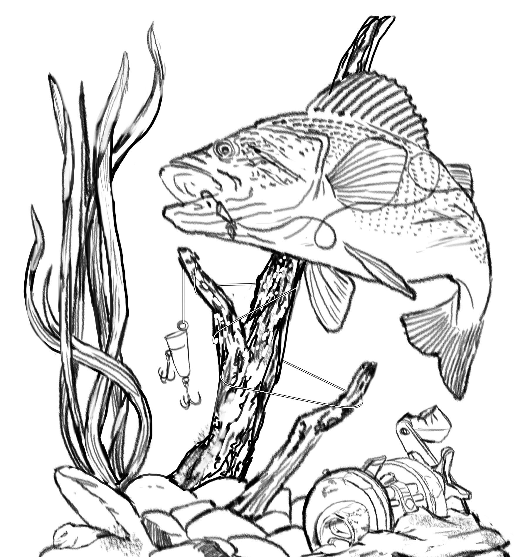 Bass Coloring Page
