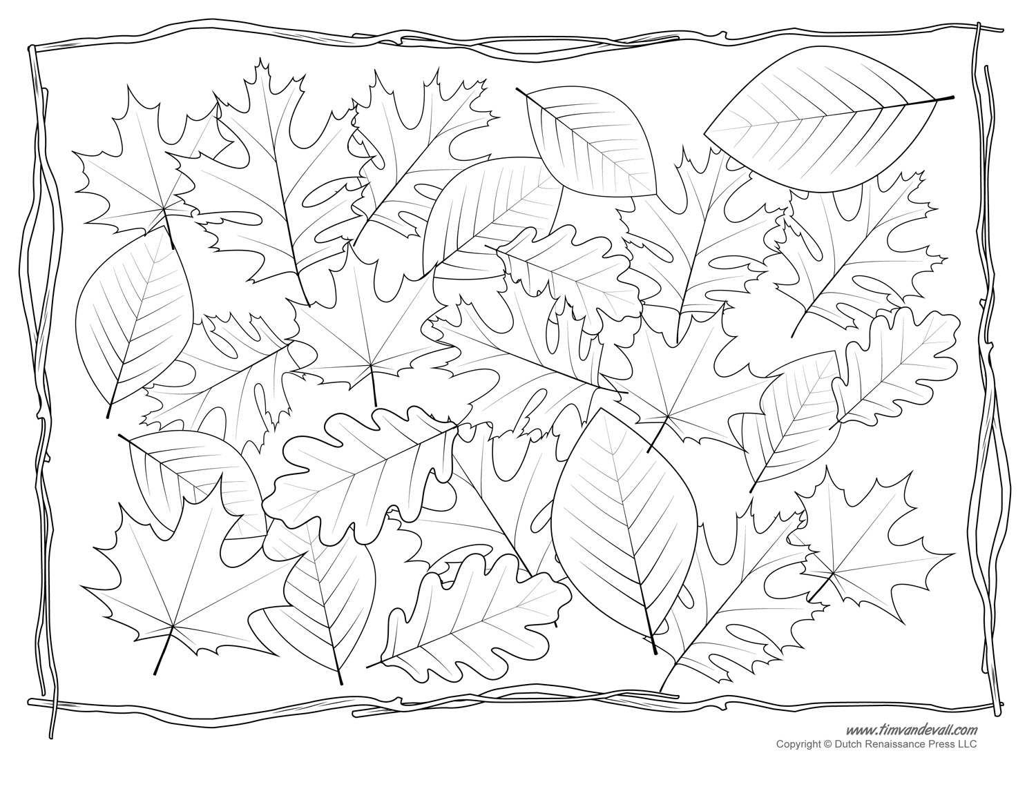 Leaf Coloring Pages