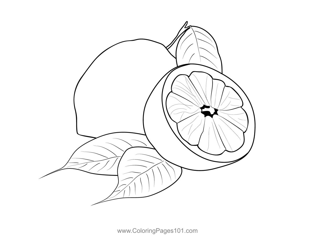Lemons 1 Coloring Page For Kids Free Lemon Printable Coloring Pages Online For Kids