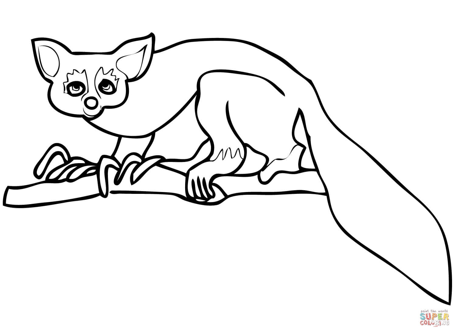 Lemur Coloring Pages Download And Print For Free