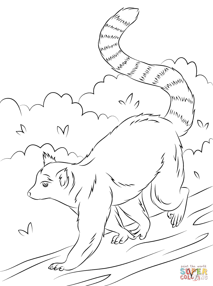 Lemur Coloring Page