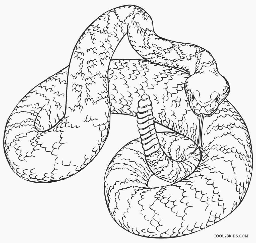 Let S Revitalizing Snake Coloring Sheet Itching To Face Your Giggle Zone Koifish
