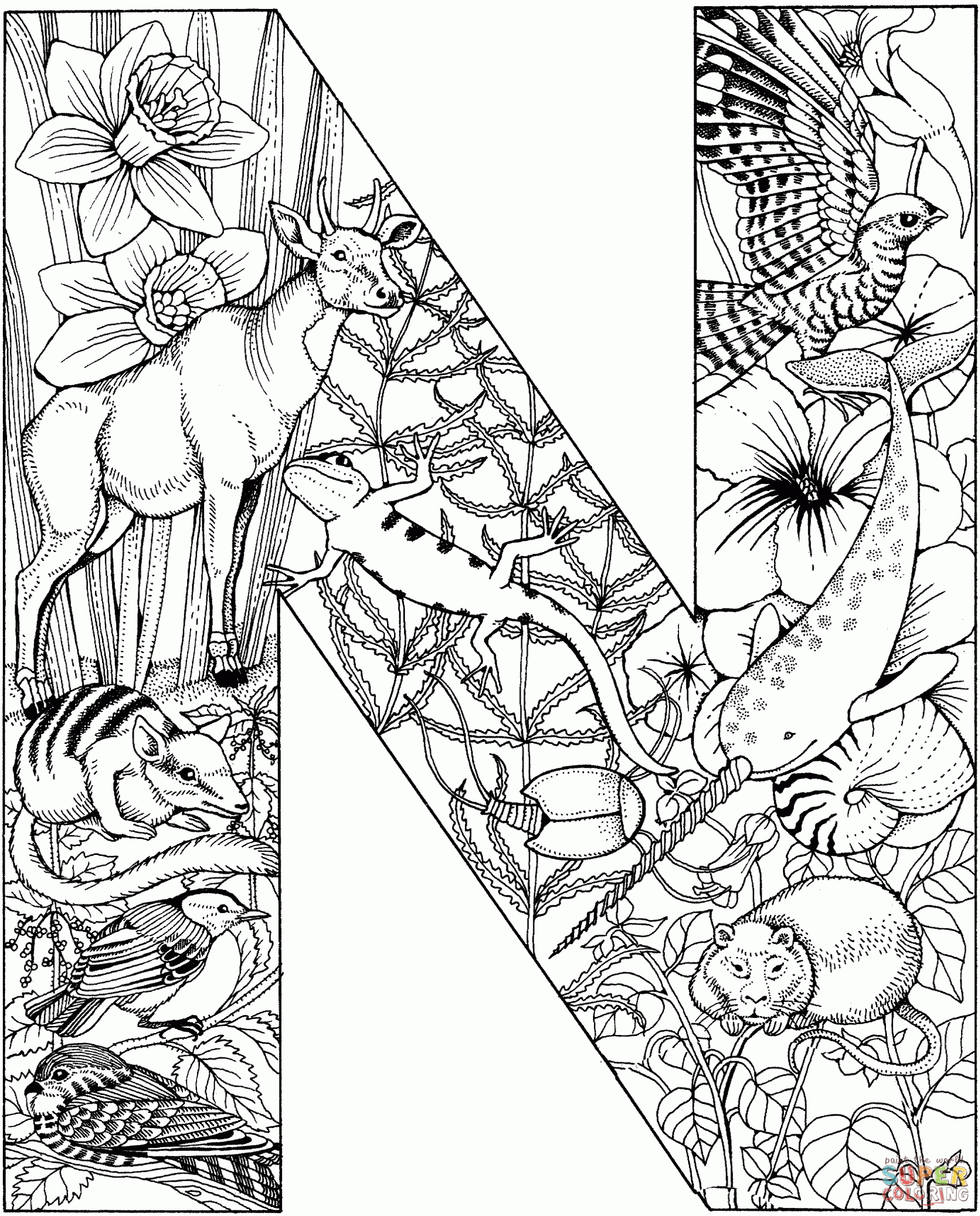Letter N Coloring Pages Preschool Coloring Home