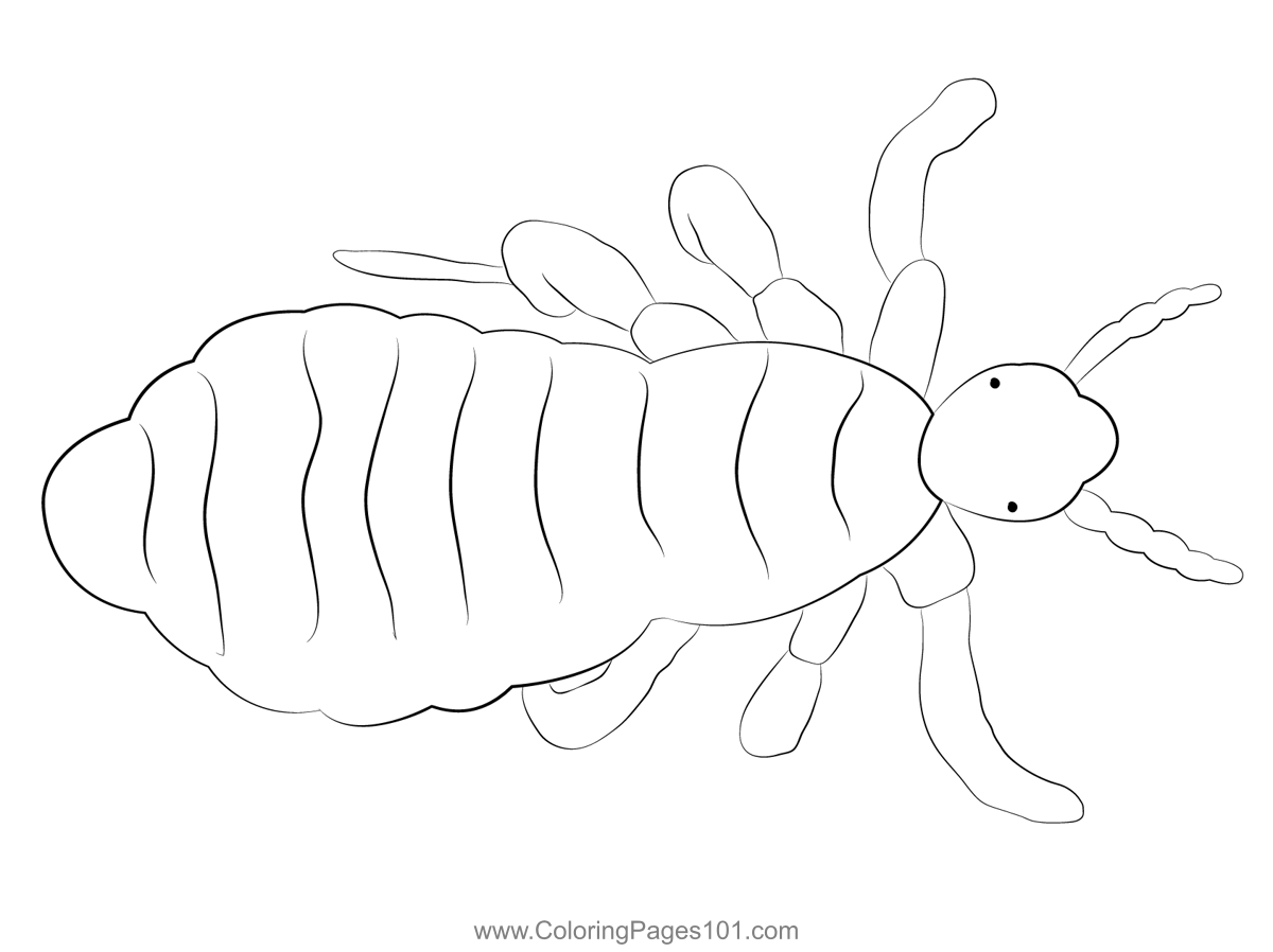 Lice Coloring Page For Kids Free Lices Printable Coloring Pages Online For Kids