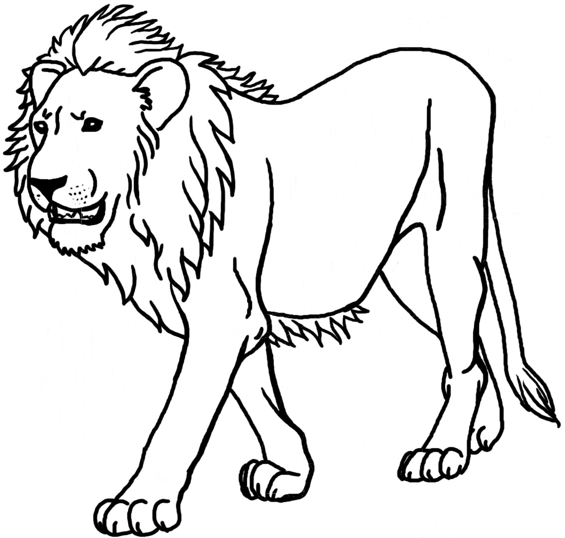 Lion Coloring Pages Related Keywords Suggestions Lion Coloring Pages Long Tail Keywords