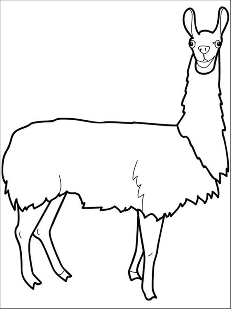 Llama Coloring Pages Best Coloring Pages For Kids
