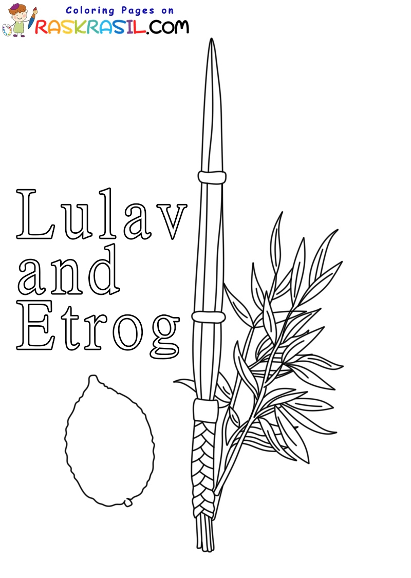 Lulav And Etrog Coloring Pages