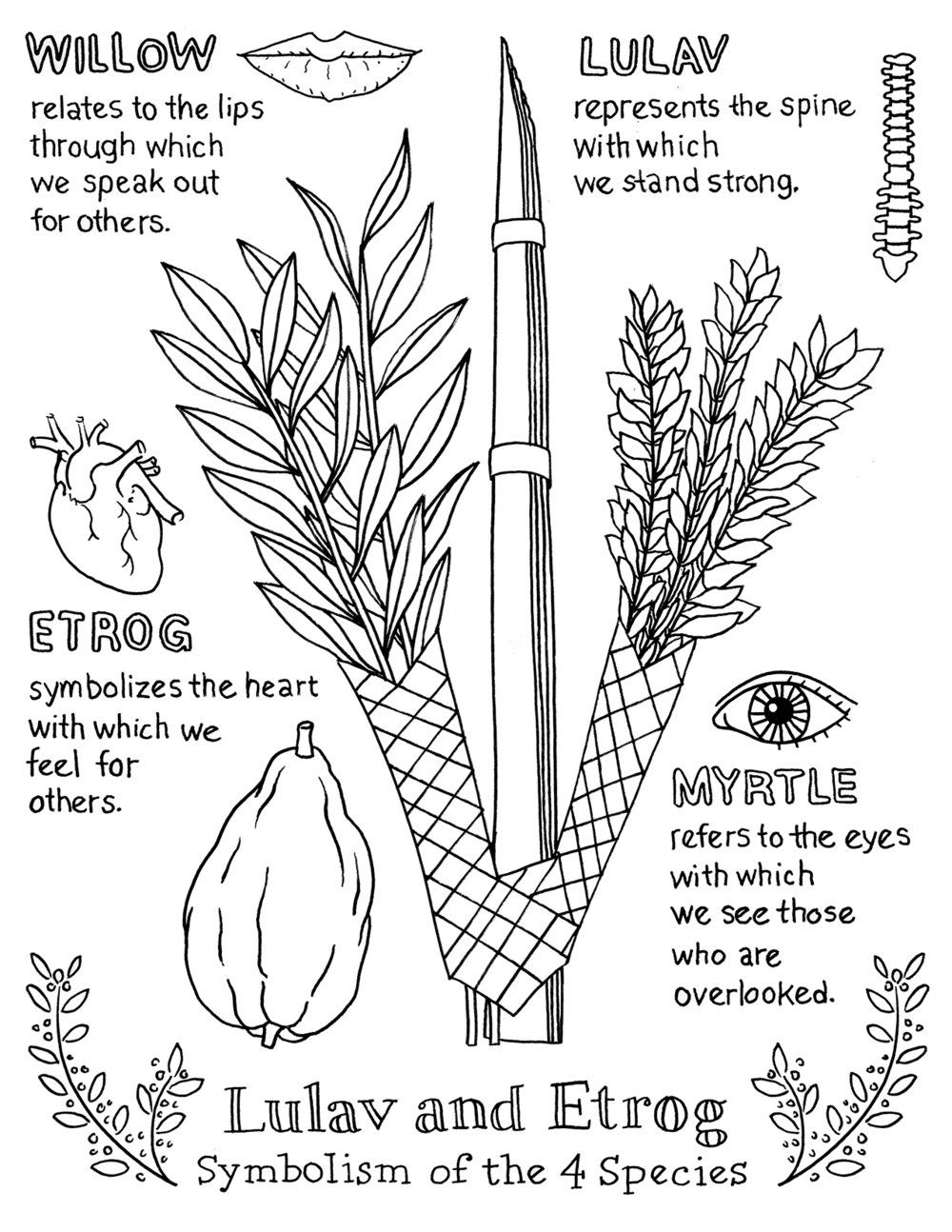 Lulav And Etrog Symbolism Of The Four Species Sukkot Coloring Sheet By Illustrator Vicky