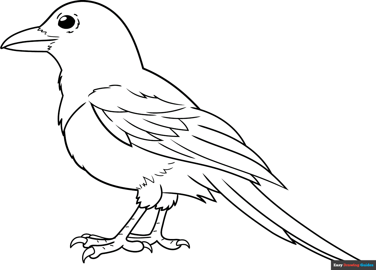Magpie Coloring Page Easy Drawing Guides