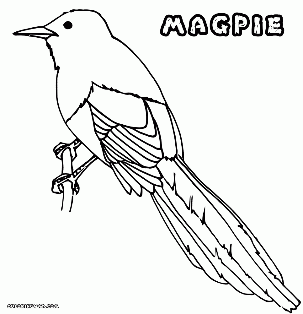 Magpie Coloring Pages Printable For Free Download