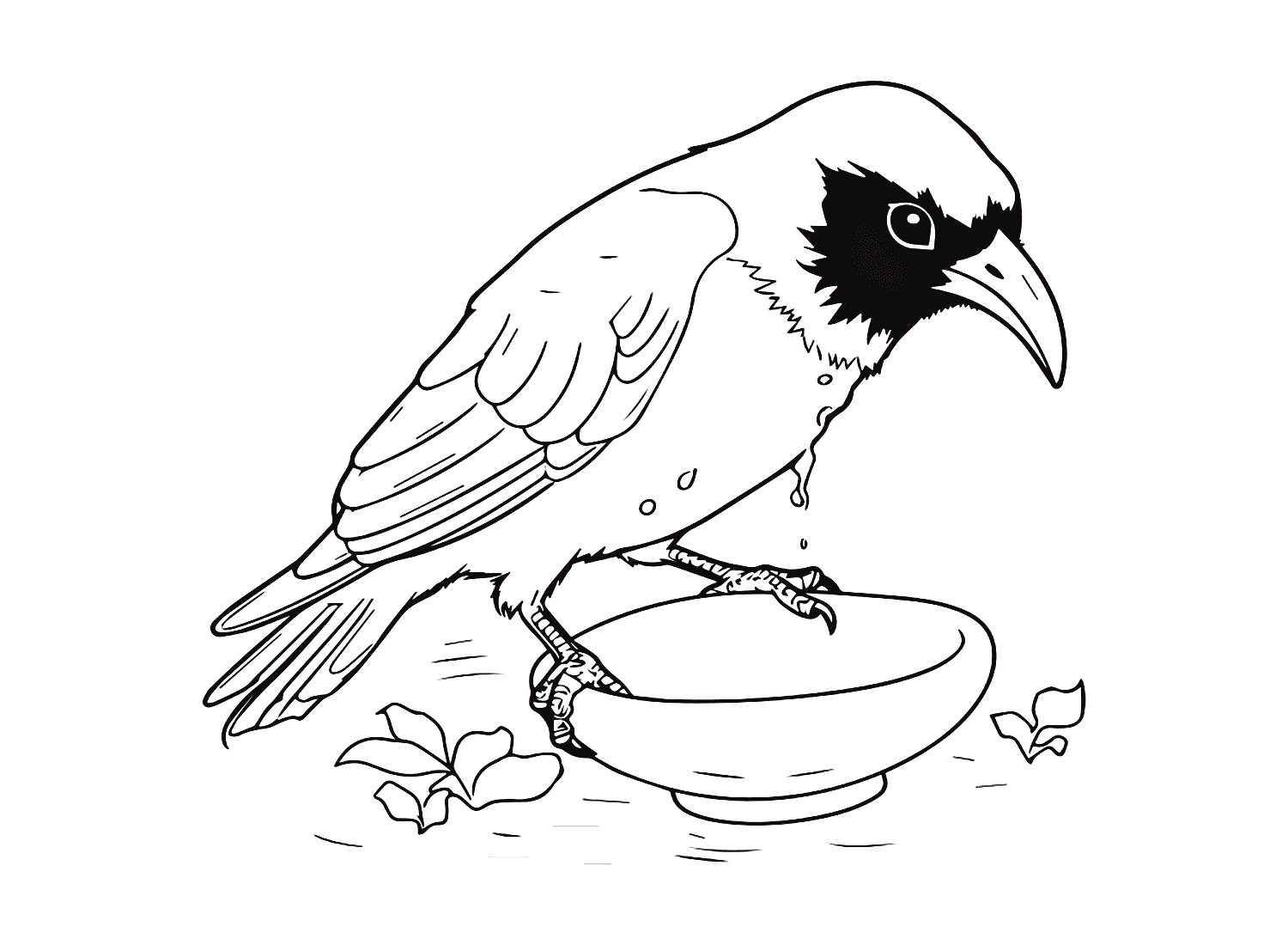 Magpie Coloring Pages Printable For Free Download