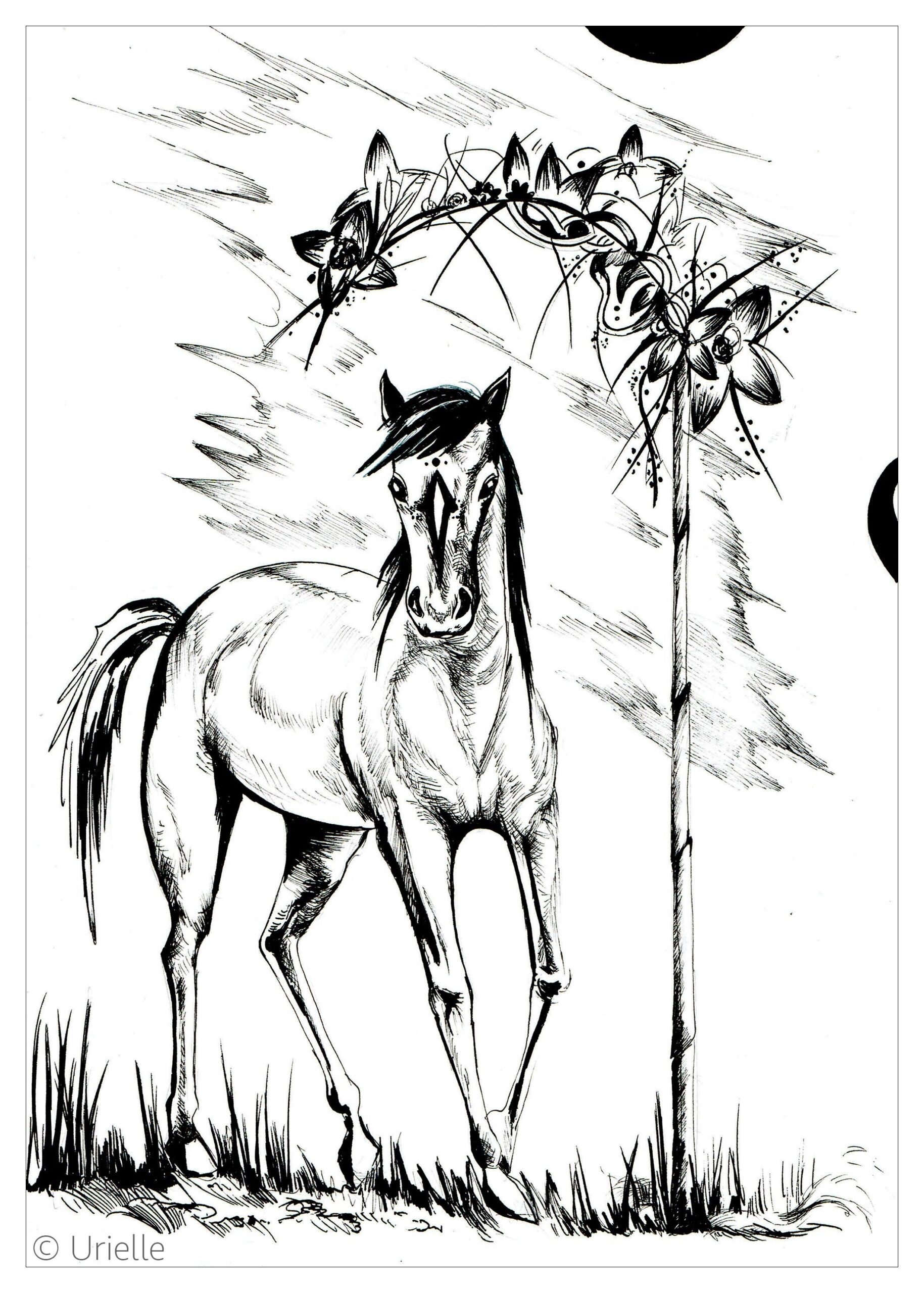 Majestic Horse Horses Coloring Pages For Adults