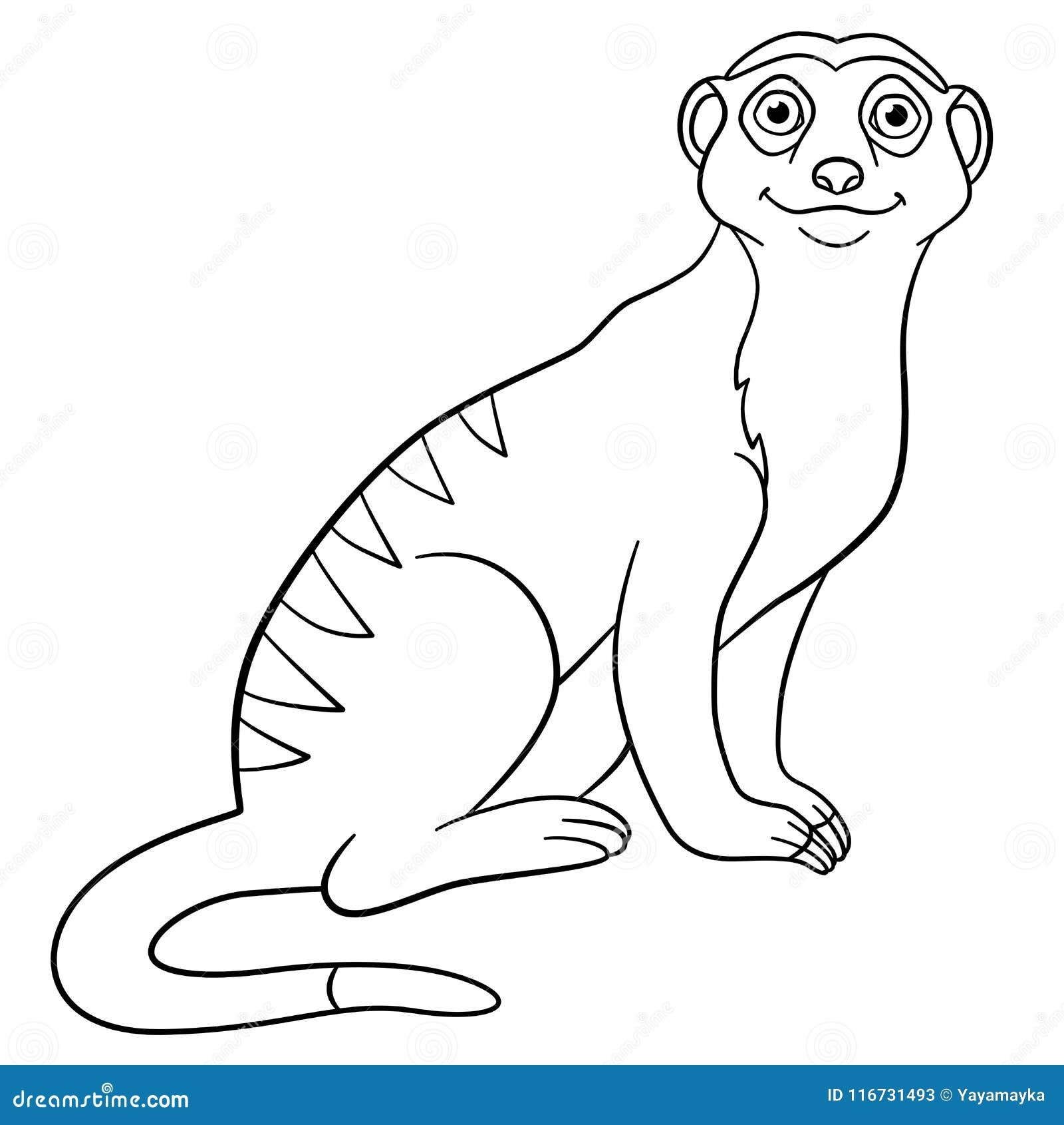 Meerkat Coloring Page Animals Town Animal Color Sheets Sketch Coloring Page