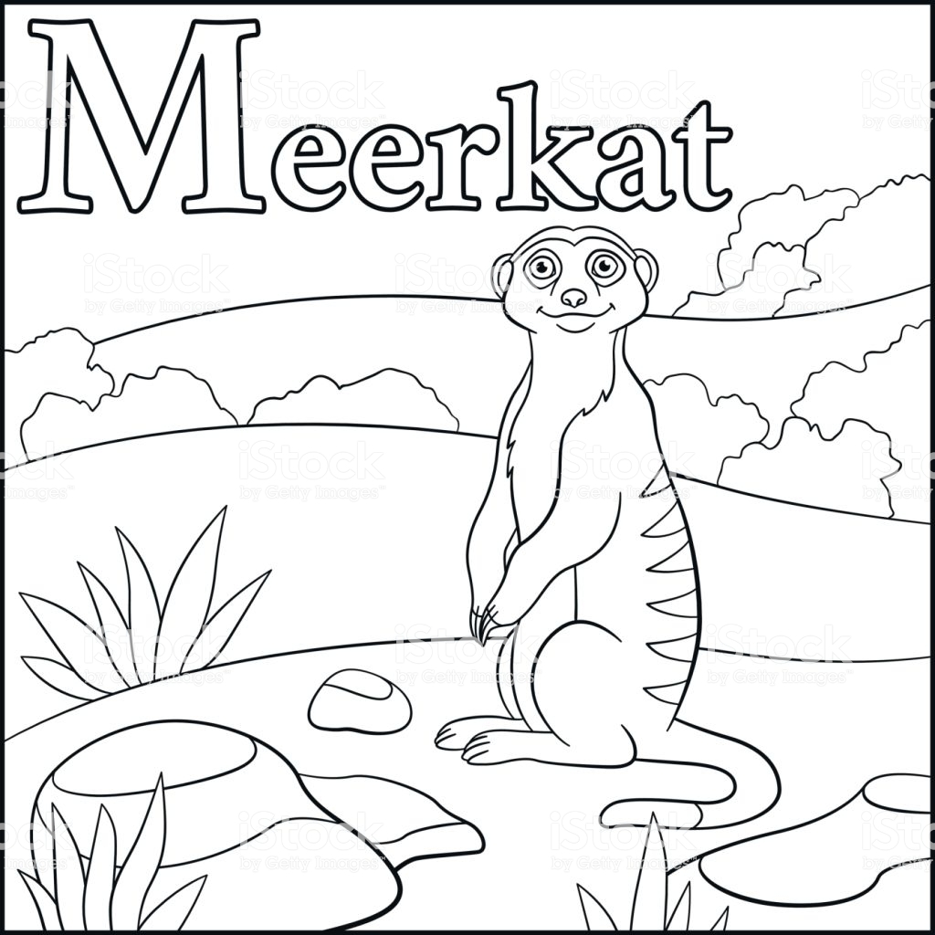 Meerkat Coloring Pages Coloring Pages