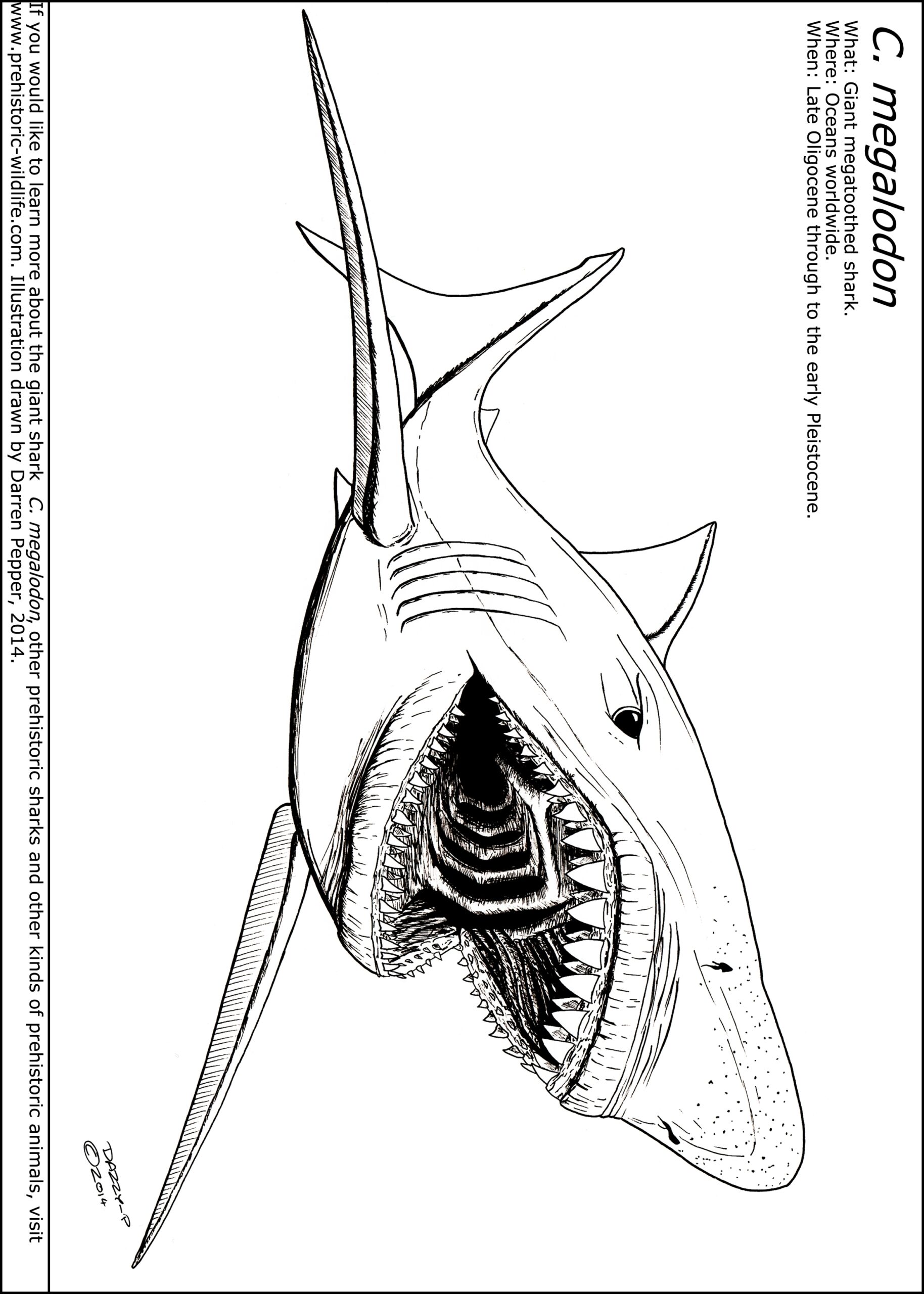 Megalodon Coloring Pages Learny Kids