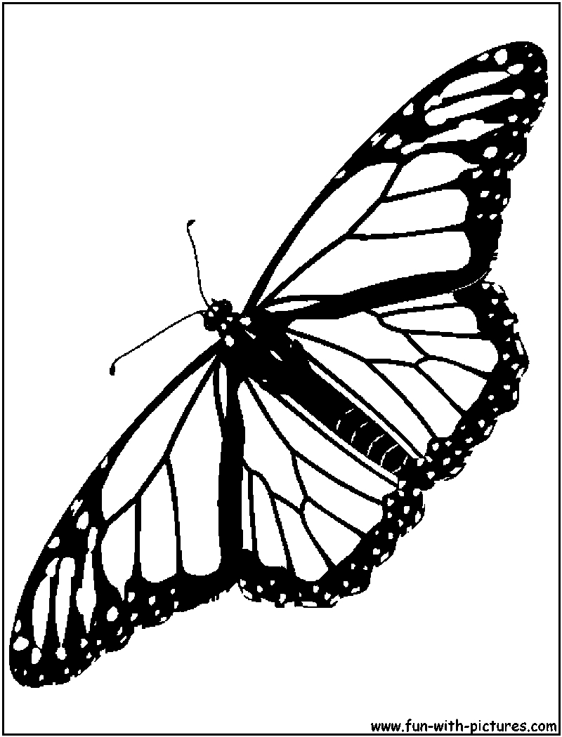 Monarch Butterfly Coloring Pages Download And Print For Free