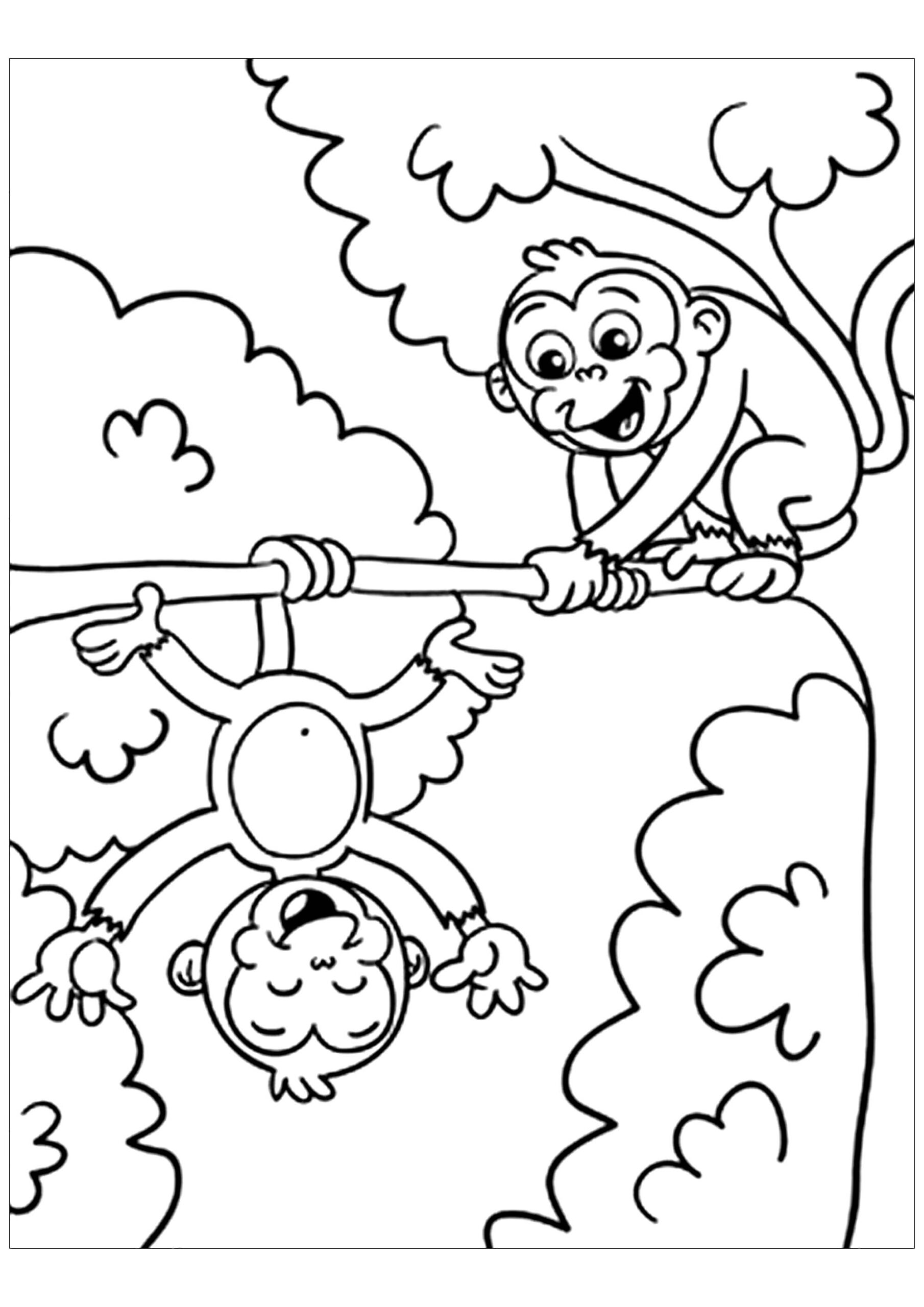 Monkey Printable Coloring Pages