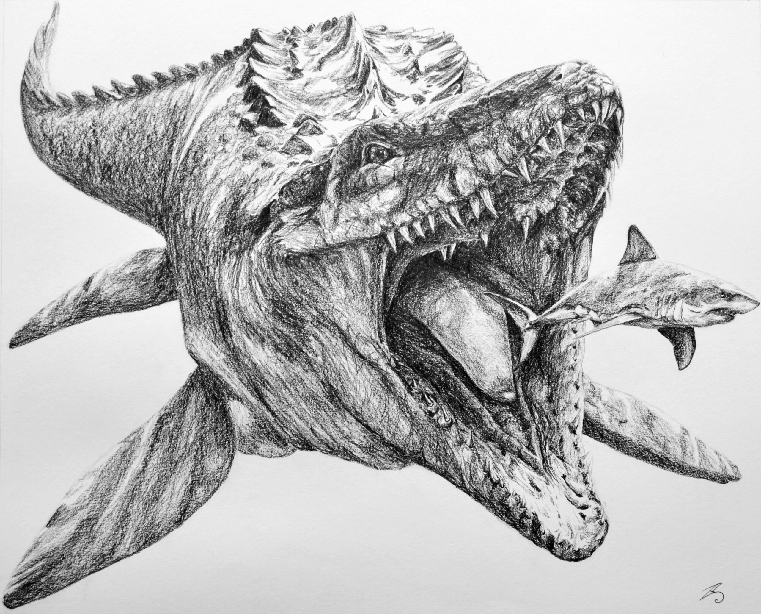 Mosasaurus Coloring Page