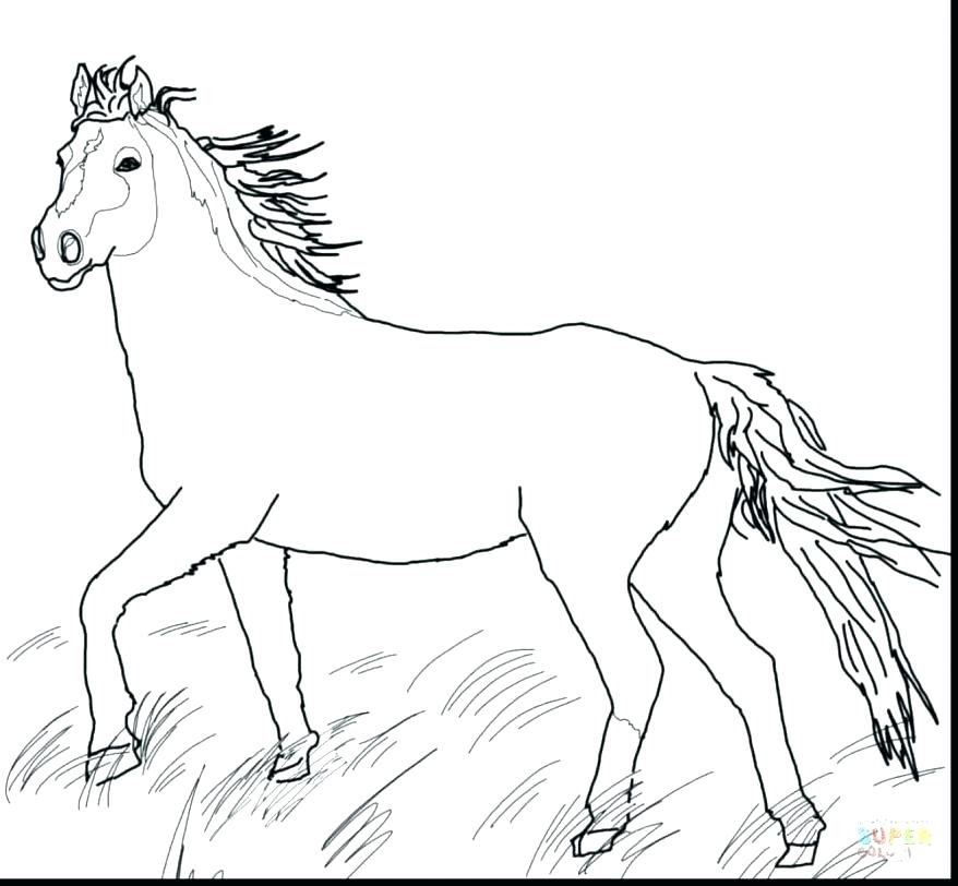 Mustang Horse Coloring Pages Printable At GetColorings Free Printable Colorings Pages To