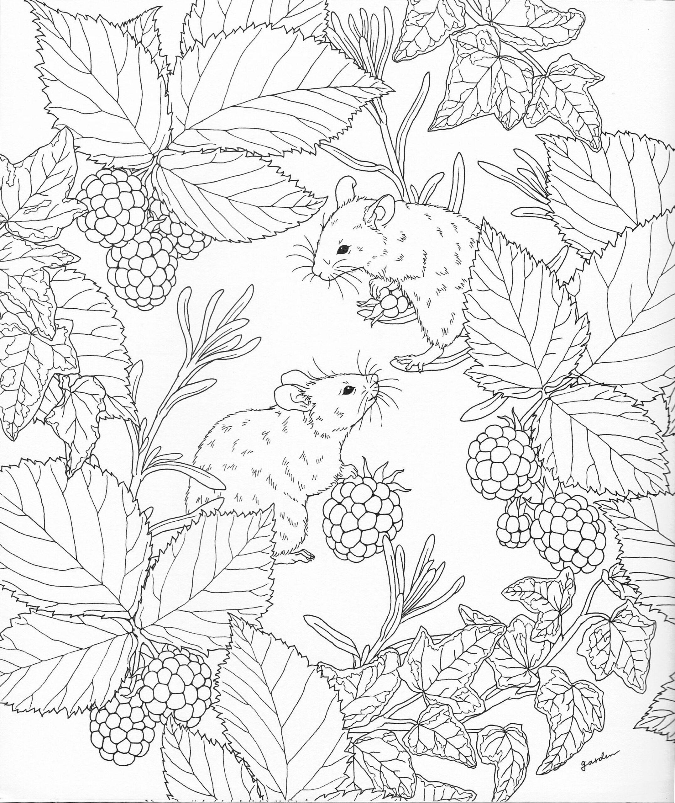 Nature Coloring Pages