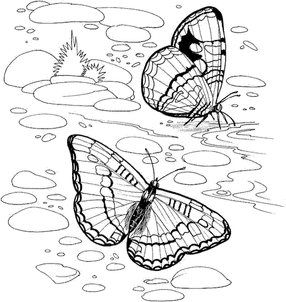 Nature Printable Coloring Pages