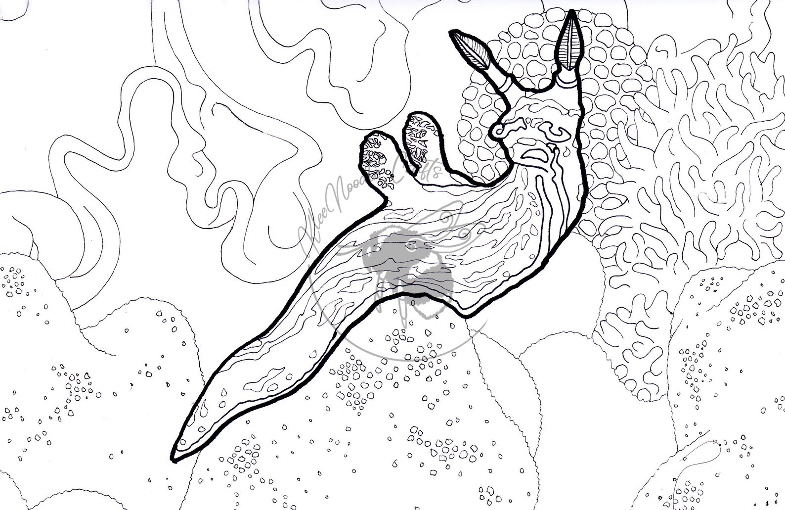 Nudibranch Sea Slug Coloring Sheet Etsy Espa A