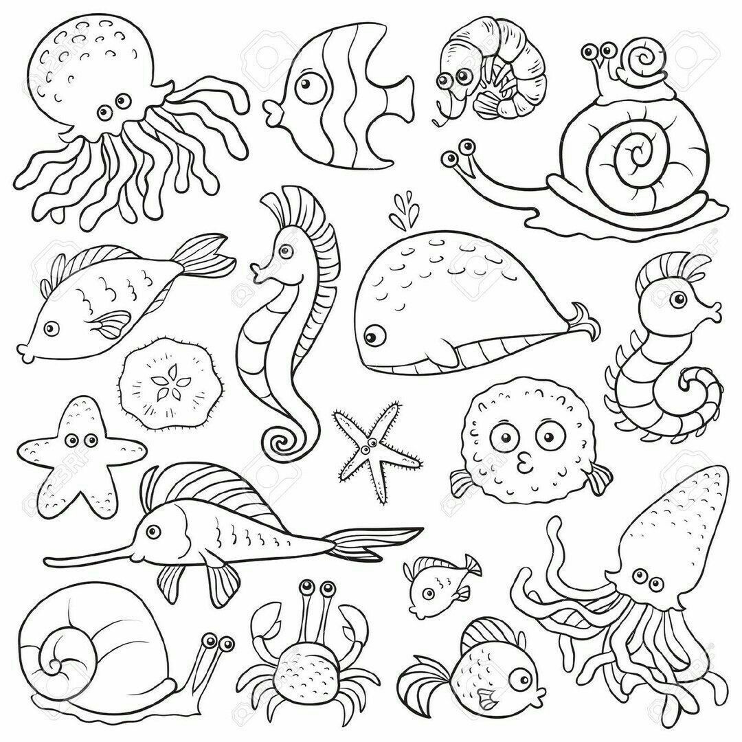 Ocean Life Coloring Pages Free Download Goodimg Co