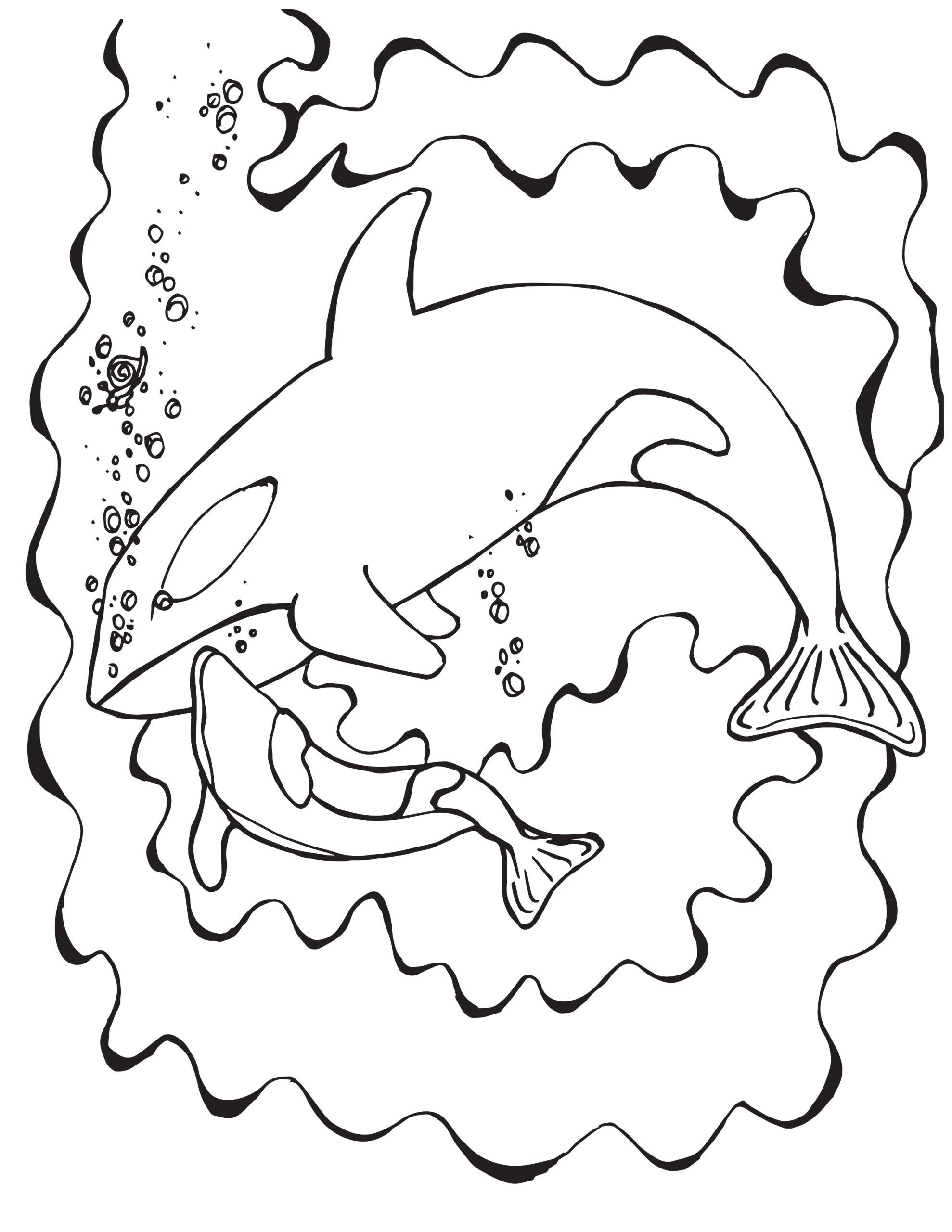 Orca Coloring Pages At GetDrawings Free Download