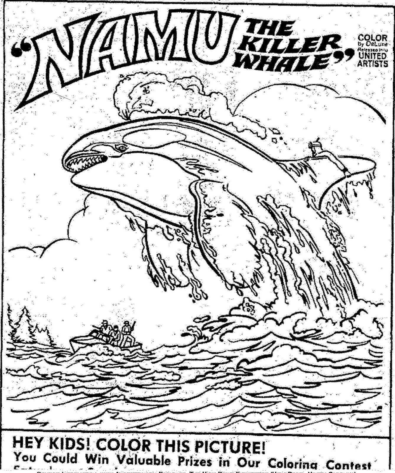 Orca Coloring Page