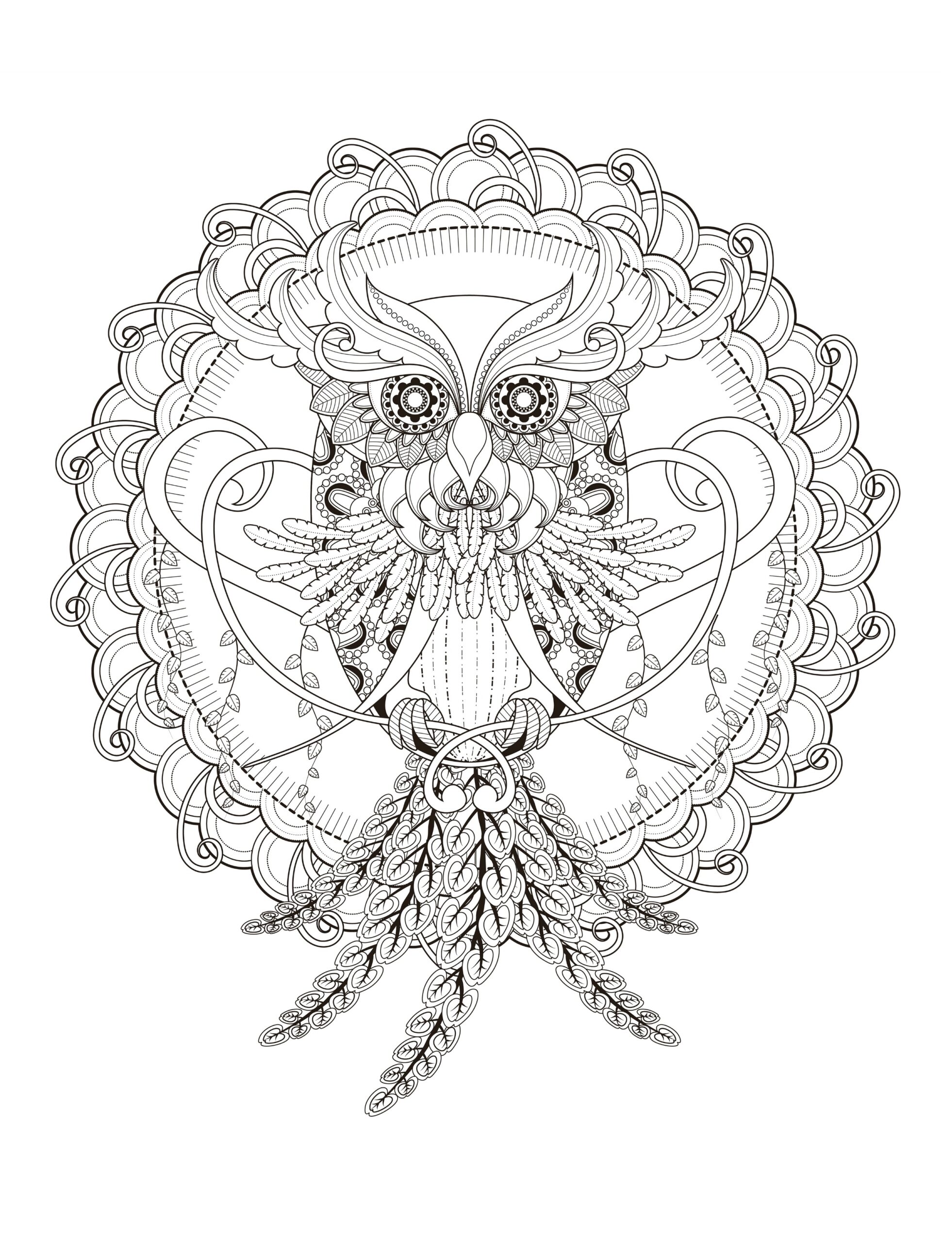 Owl Coloring Page