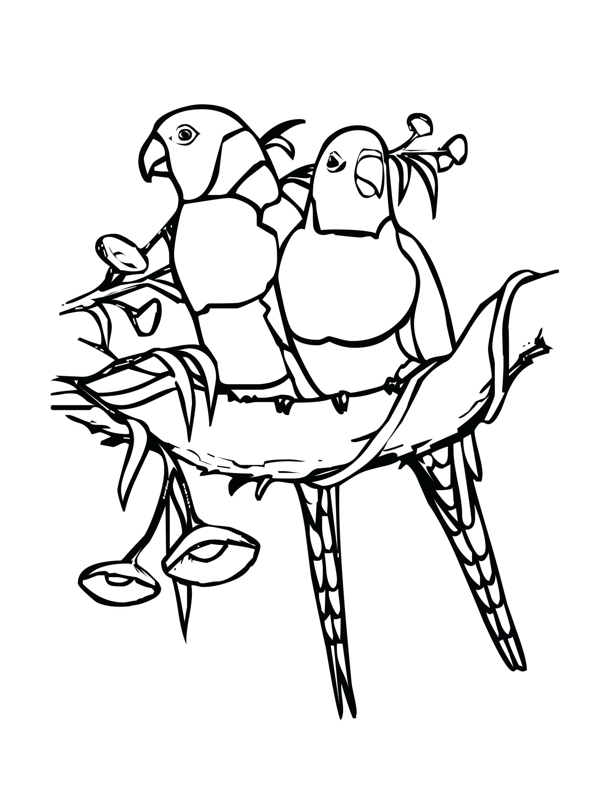 Parakeet Coloring Pages Best Coloring Pages For Kids