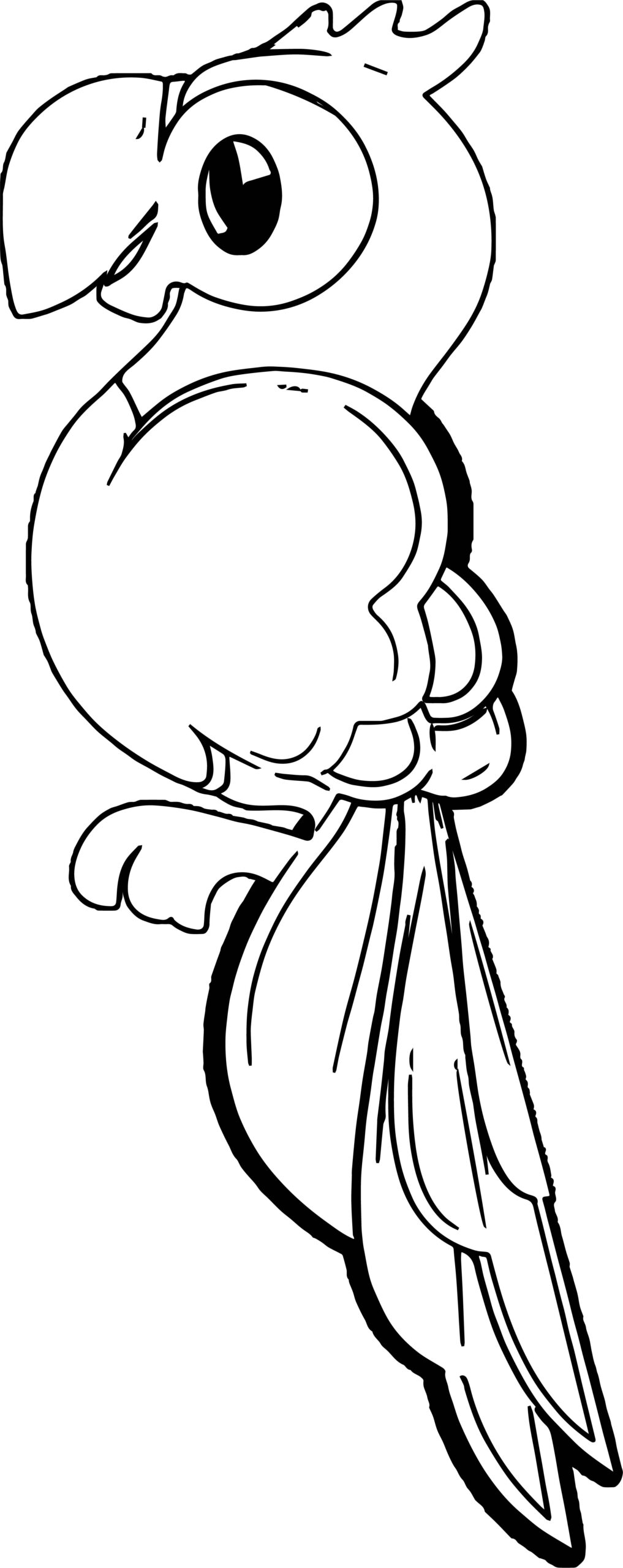 Parrot Coloring Pages