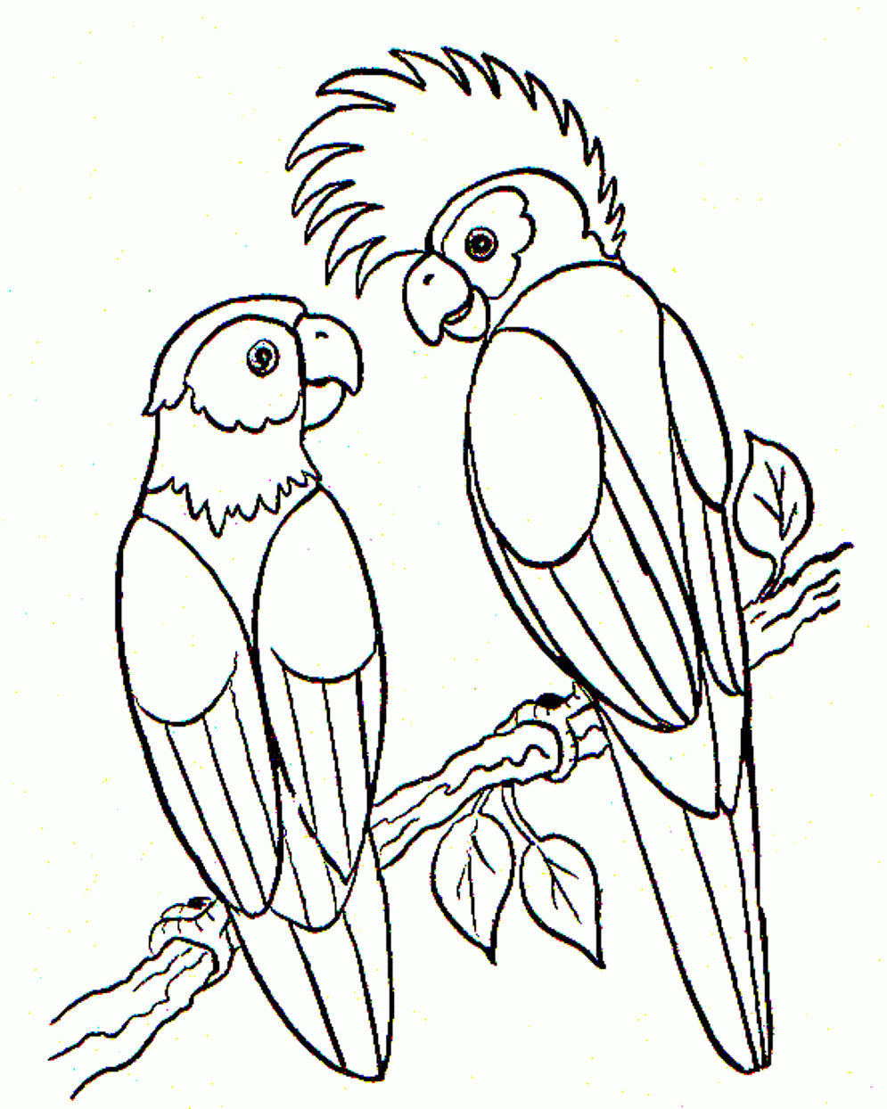 Parrot Coloring Page Printable