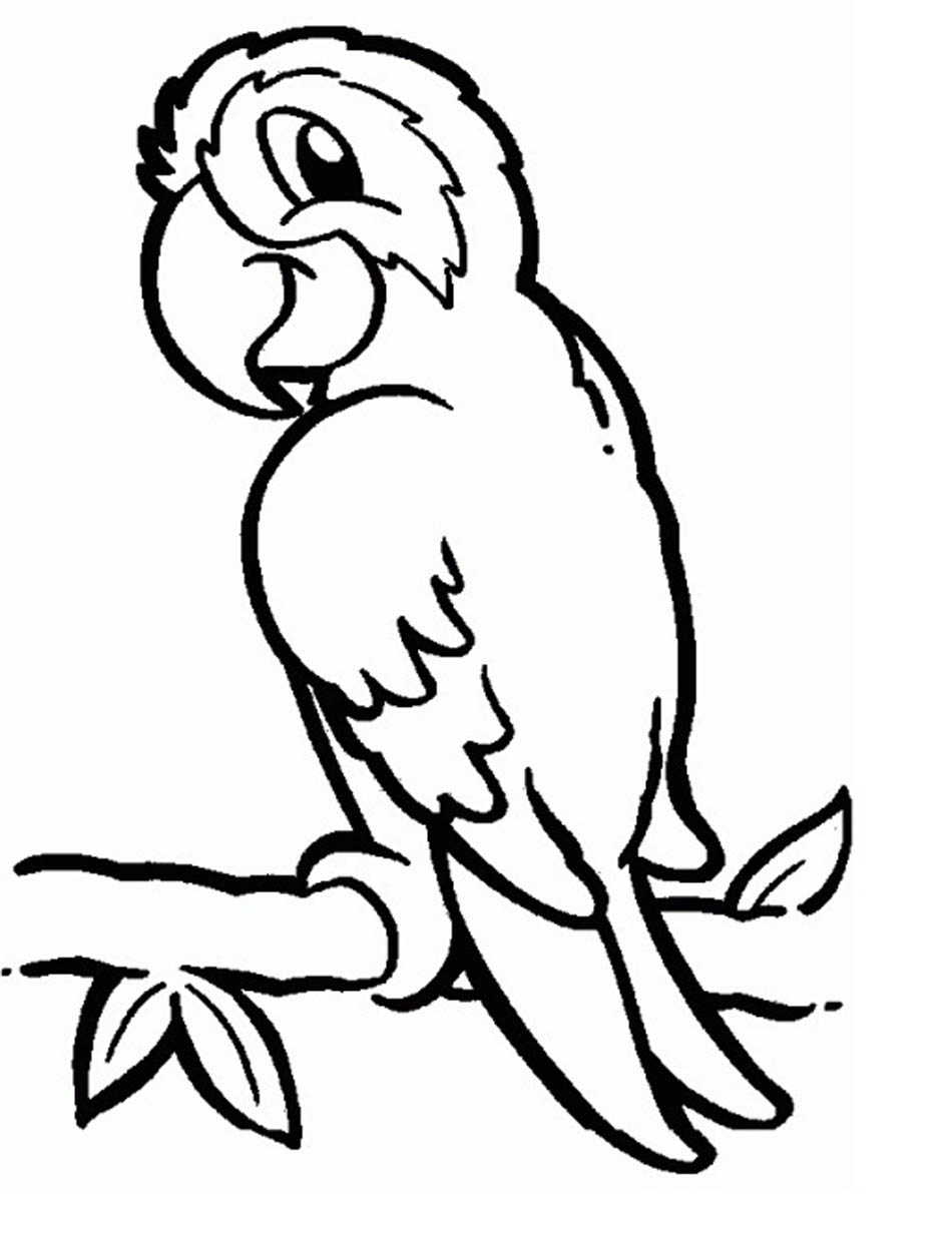 Parrots Coloring Pages To Download And Print For Free