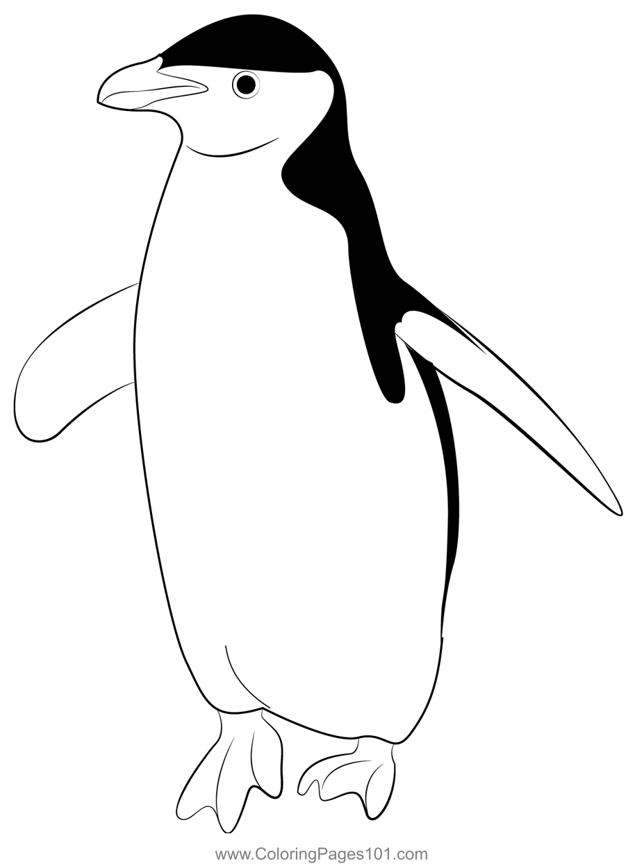 Penguin 7 Coloring Page For Kids Free Penguins Printable Coloring Pages Online For Kids