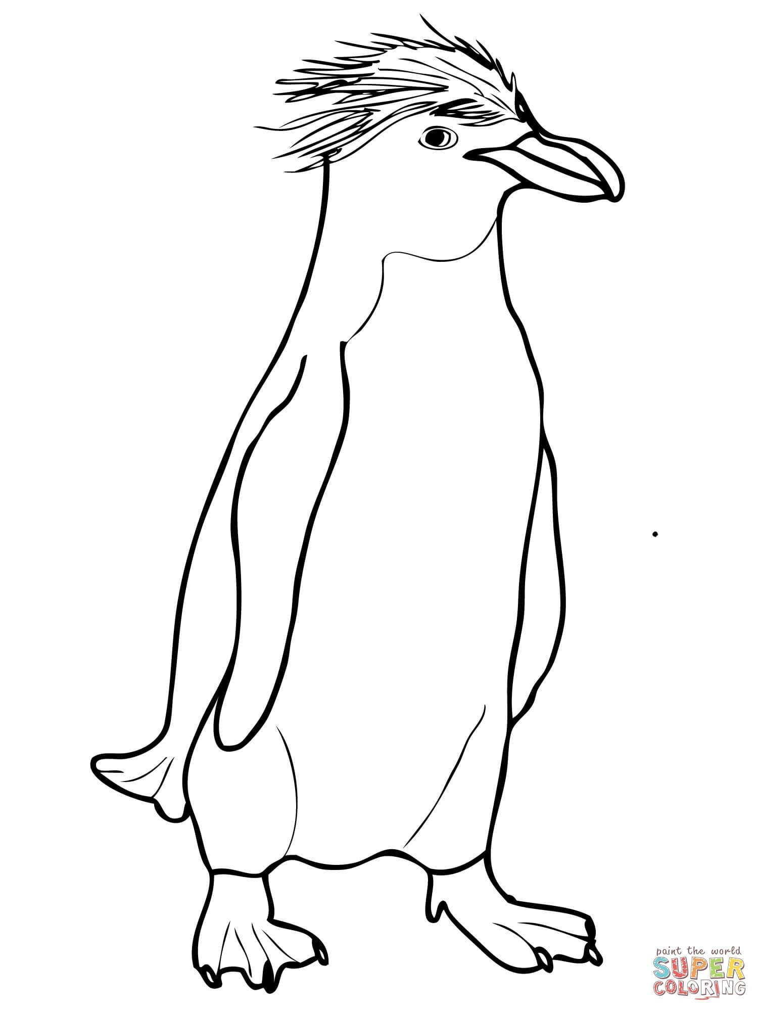 Penguin Drawing Simple At GetDrawings Free Download